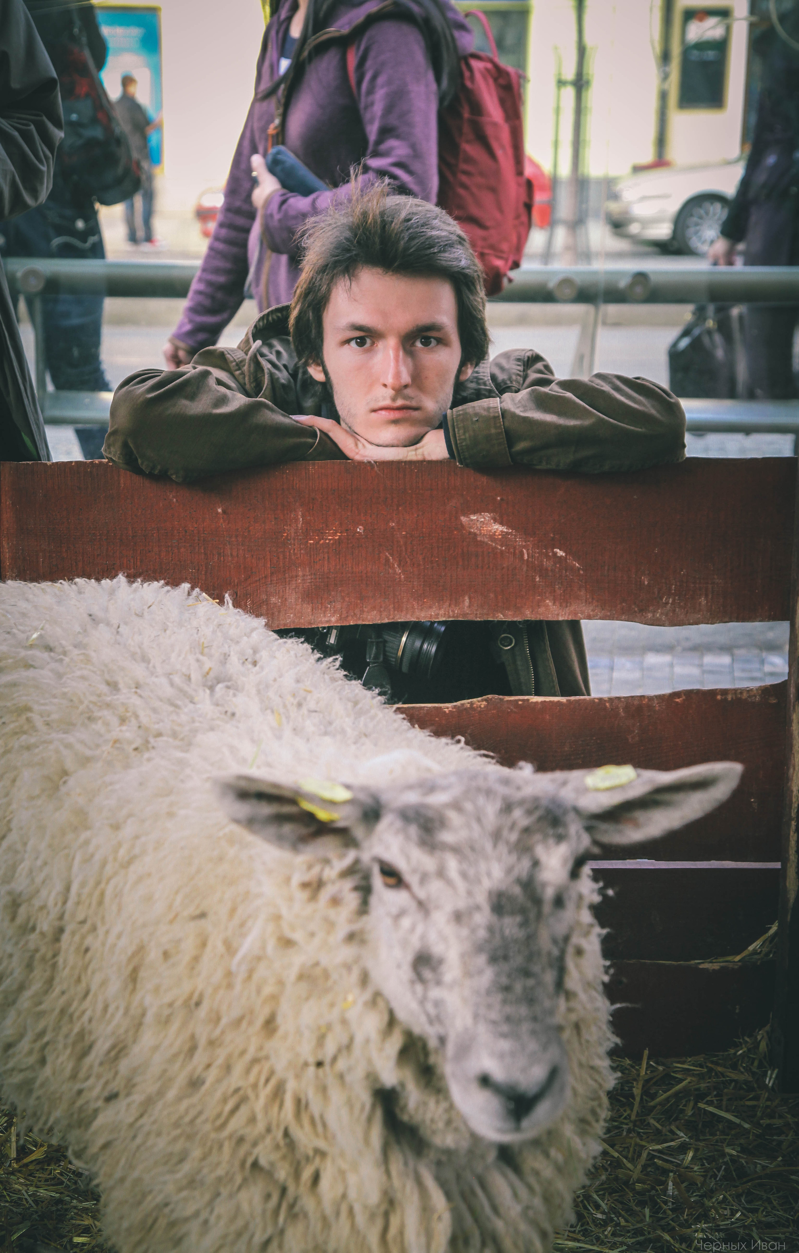 ЧЕХИЯ. Стрит-фотография, полная абсурда, идиотизма и красоты