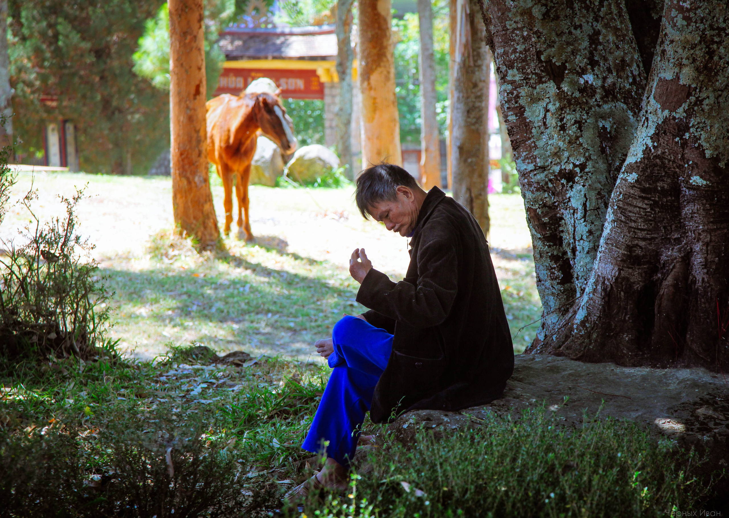 ВЬЕТНАМ. Стрит-фотография, полная абсурда, идиотизма и красоты