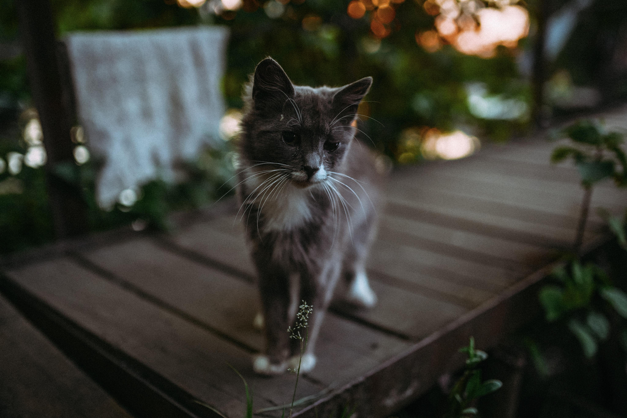 2022. Стрит-фотография, полная абсурда, идиотизма и красоты