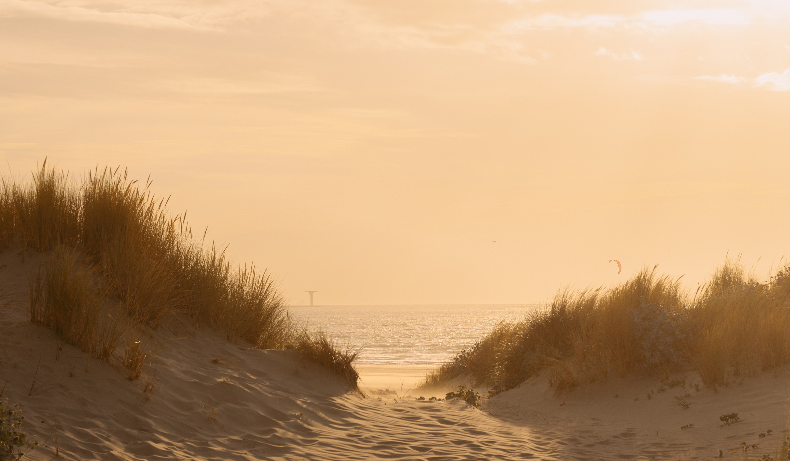 Portfolio of a Dutch Photographer — Portraits, Love Stories & More. Romantic & Soulful Photography by Natalia Olhova in Rotterdam