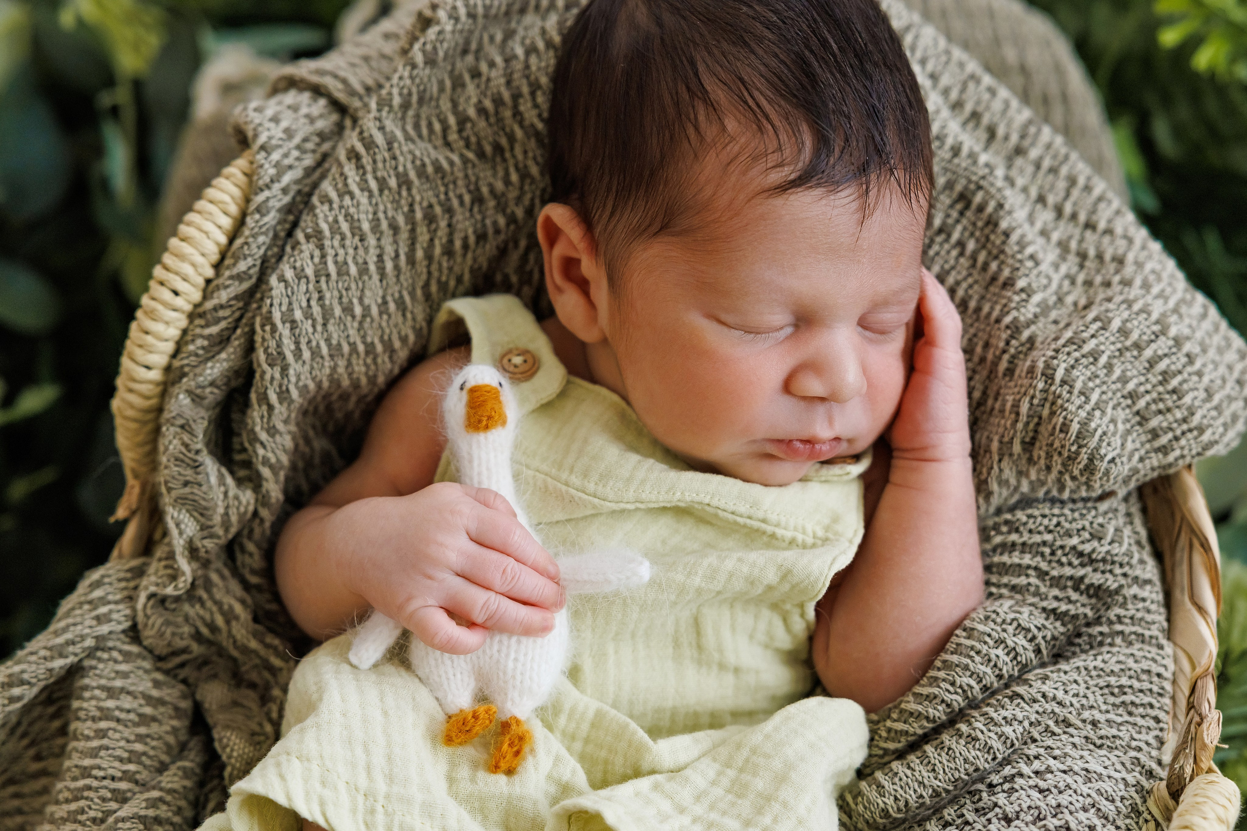 Baby Boy. Фотограф Ирина Йотова