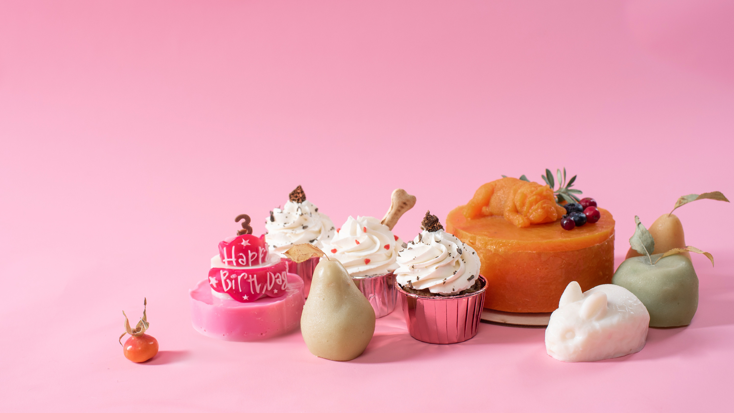 Commercial & UGC Pet Product Photography by Tanya Asfir. Tanya Asfir — Pet & Animal Photographer | Belgrade, Serbia