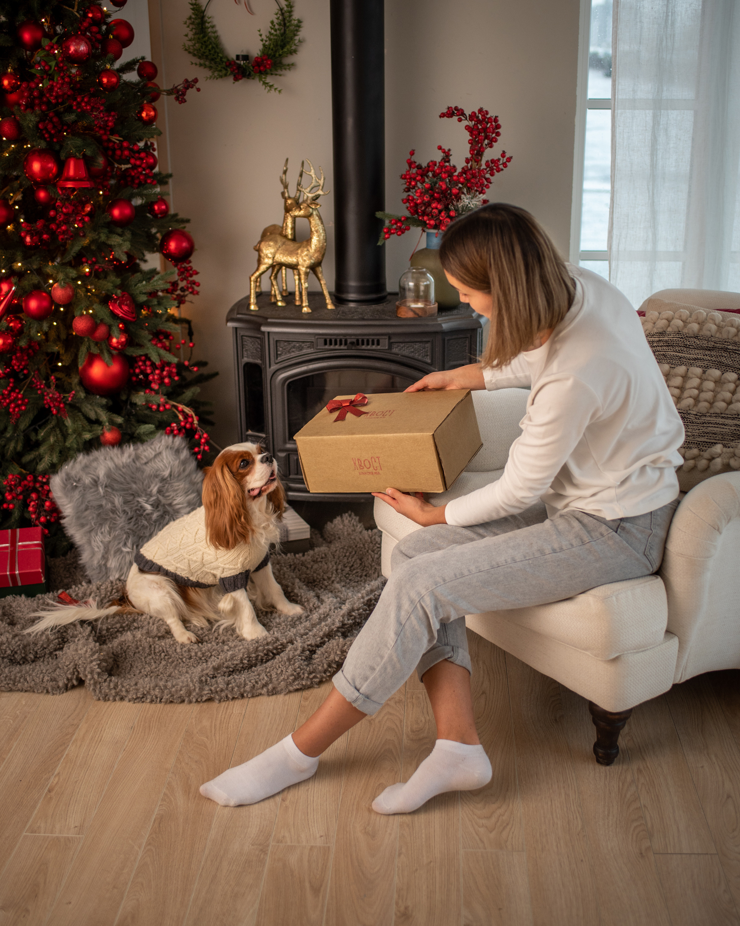 Commercial & UGC Pet Product Photography by Tanya Asfir. Tanya Asfir — Pet & Animal Photographer | Belgrade, Serbia