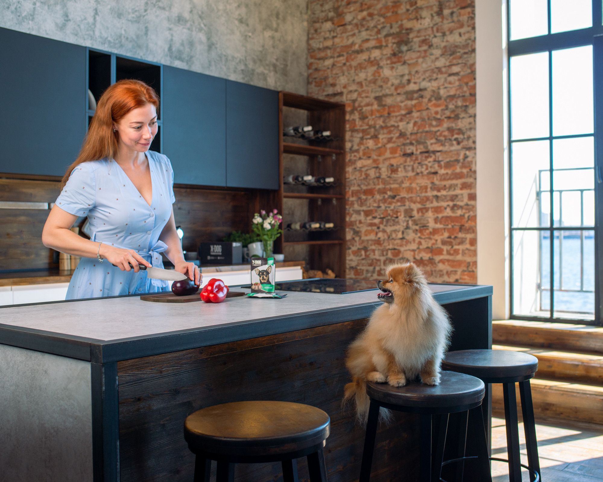 Commercial & UGC Pet Product Photography by Tanya Asfir. Tanya Asfir — Pet & Animal Photographer | Belgrade, Serbia