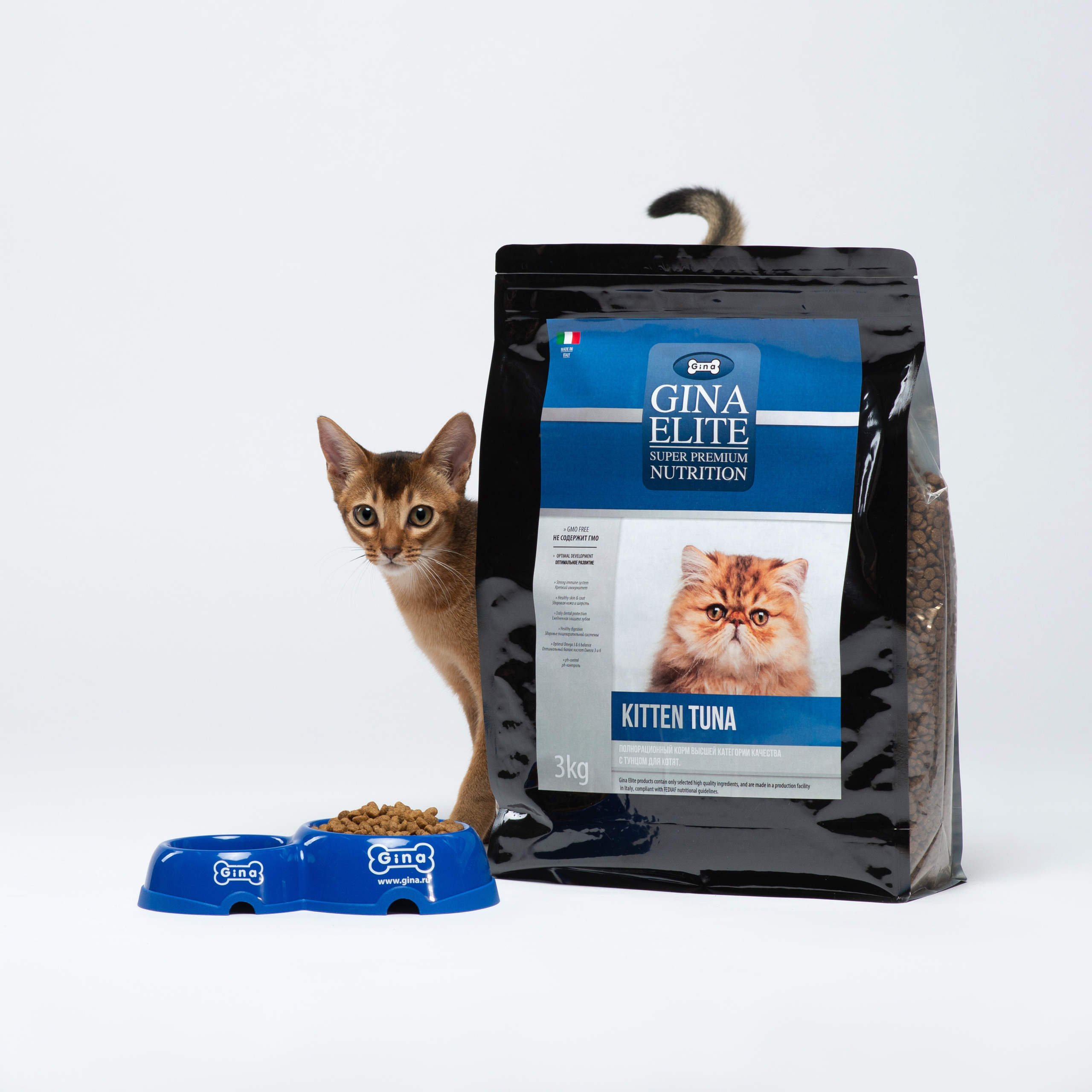 Commercial & UGC Pet Product Photography by Tanya Asfir. Tanya Asfir — Pet & Animal Photographer | Belgrade, Serbia