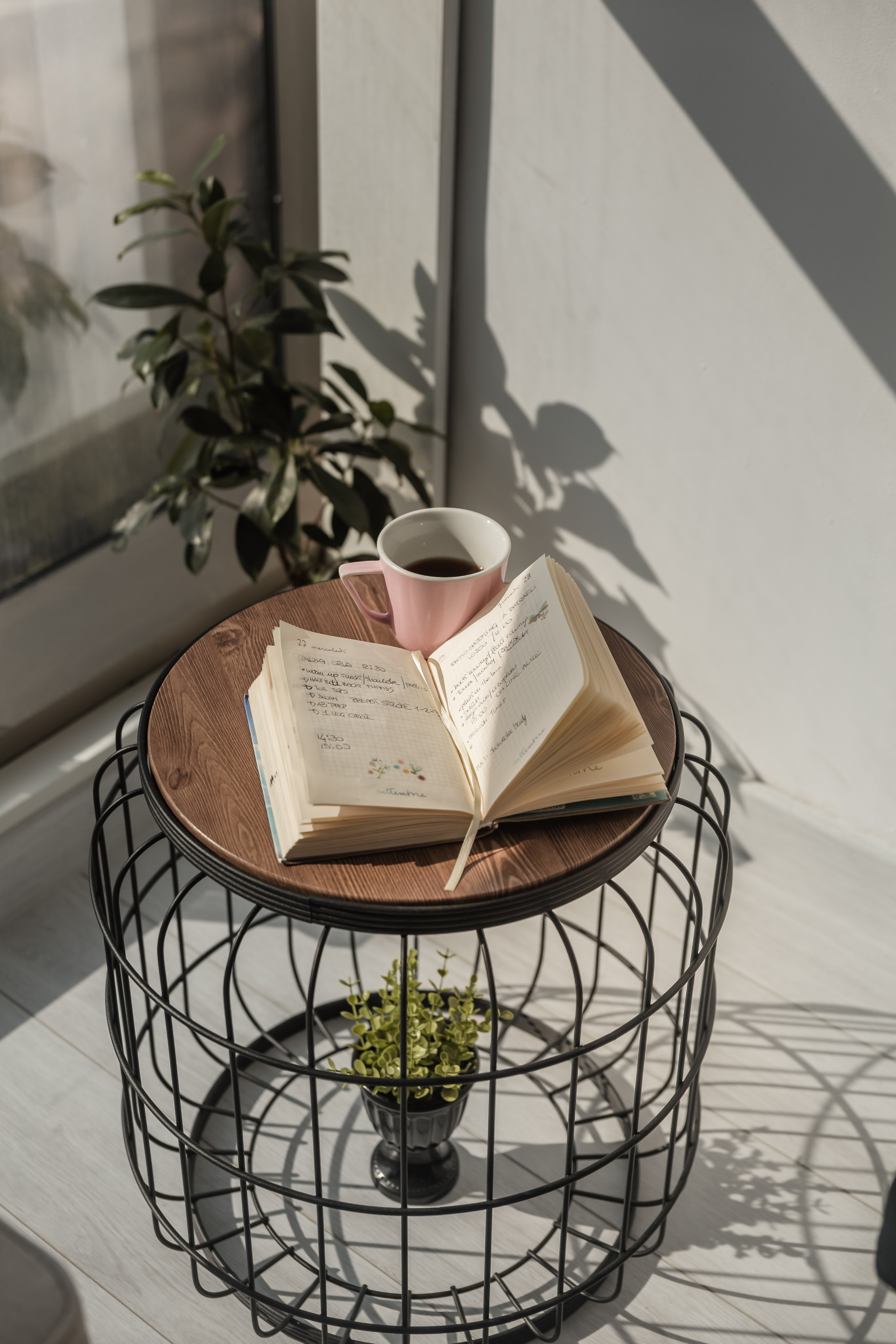 Photo session for a Pilates trainer