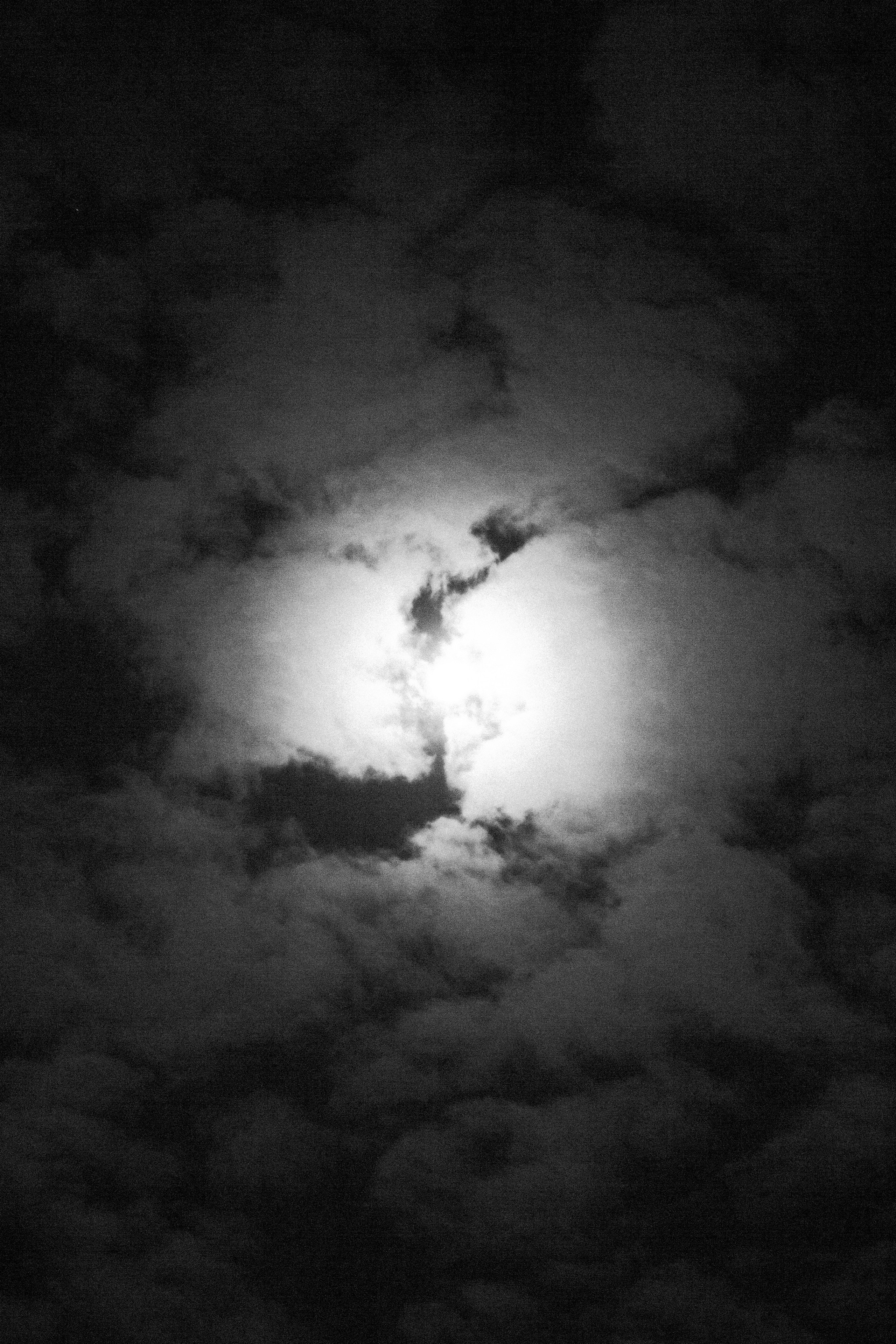 Кто сказал, что будет легко (в процессе). Екатерина Федорова