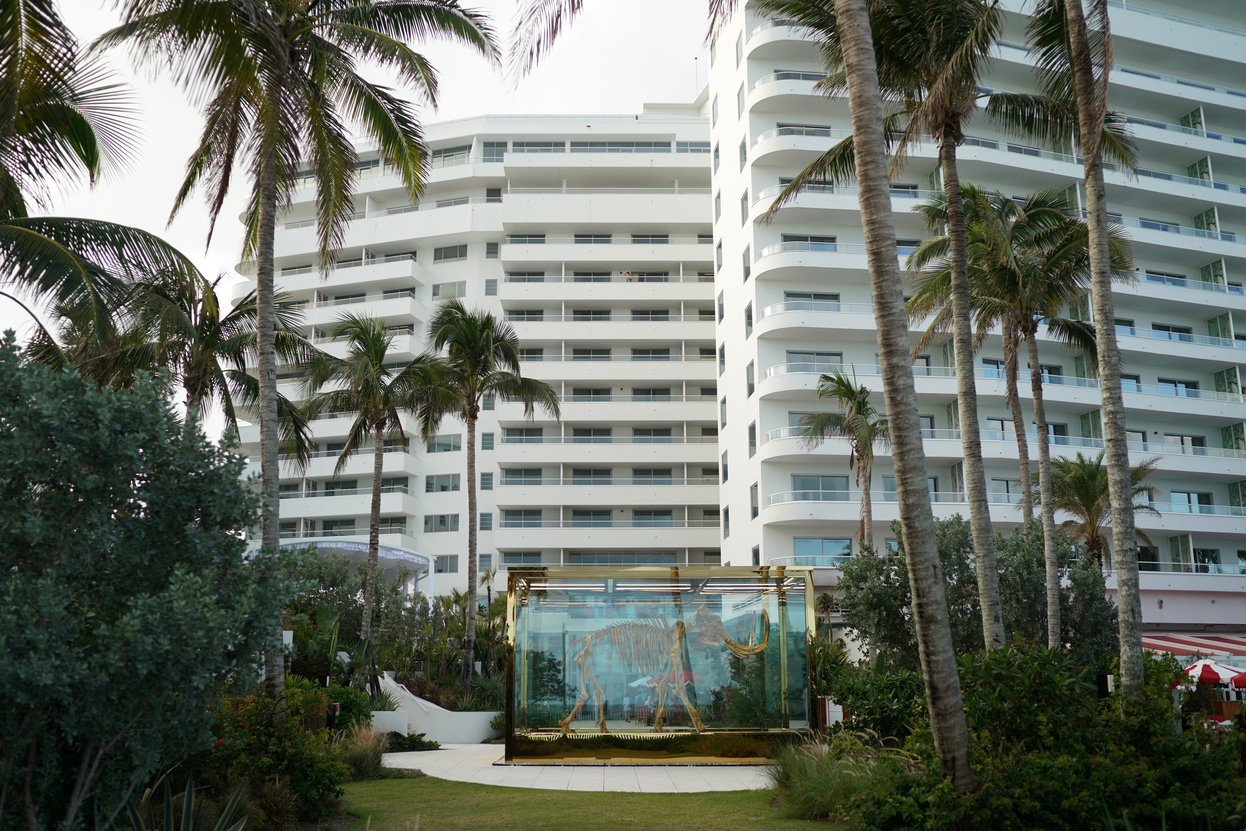 Wedding in Faena Hotel Miami Beach. Emin Kuliyev — Award-Winning Wedding Photojournalist NYC & USA | Best Wedding Photographer Known for Candid, Timeless Moments