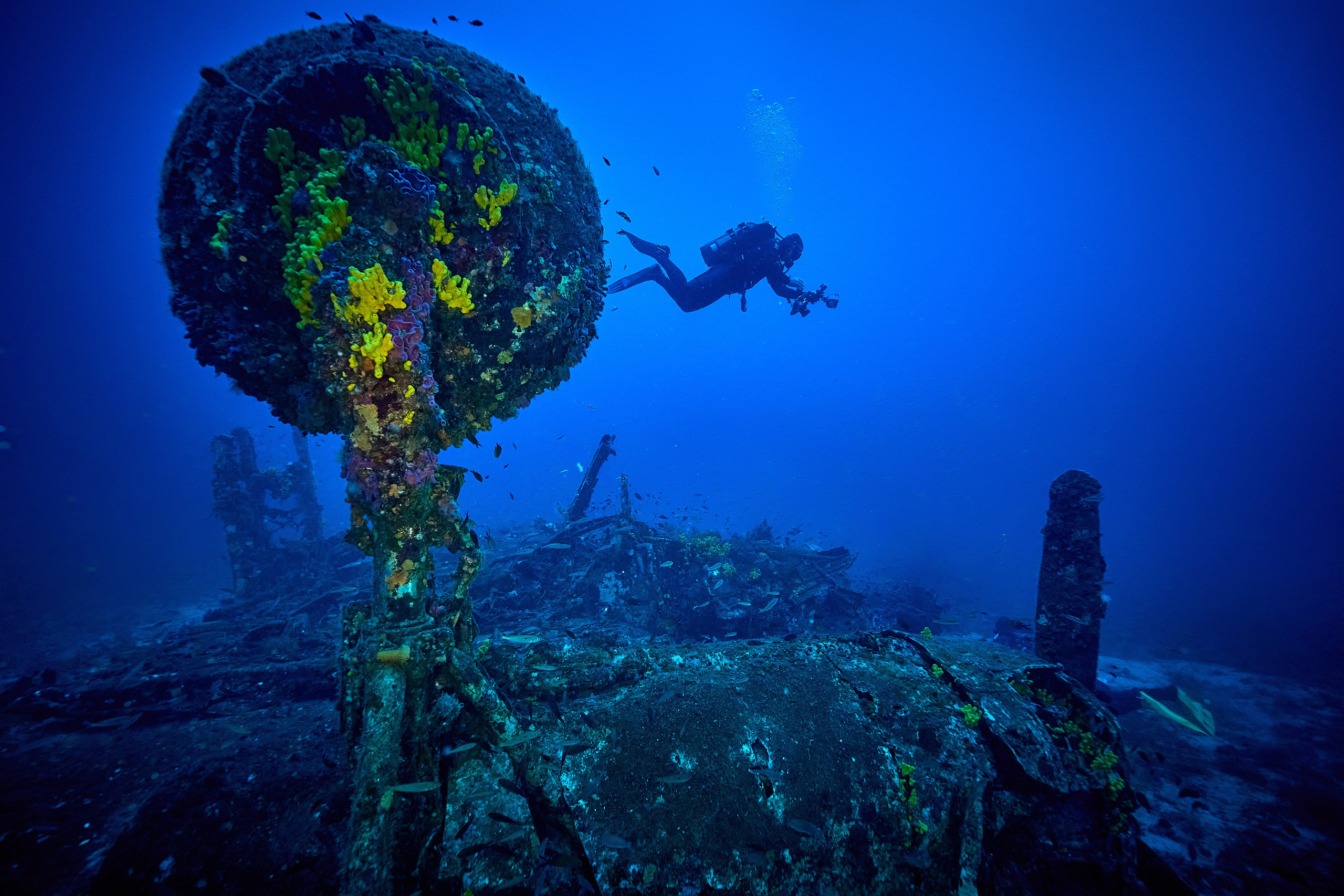 Fotograf podwodny Andriej Szypilow. Wrak samolotu B-24 Liberator „Tulsamerican” spoczywa na dnie Adriatyku w pobliżu wysepki Veli Paržanj, położonej na południowy wschód od wyspy Vis. Samolot był ostatnim egzemplarzem wyprodukowanym w fabryce Douglas w Tulsie w stanie Oklahoma, a za jego powstanie zapłacili pracownicy fabryki i okoliczni mieszkańcy, nadając mu przezwisko „Tulsamerican” (ten egzemplarz - między innymi - zrzucał zaopatrzenie dla Powstania Warszawskiego).