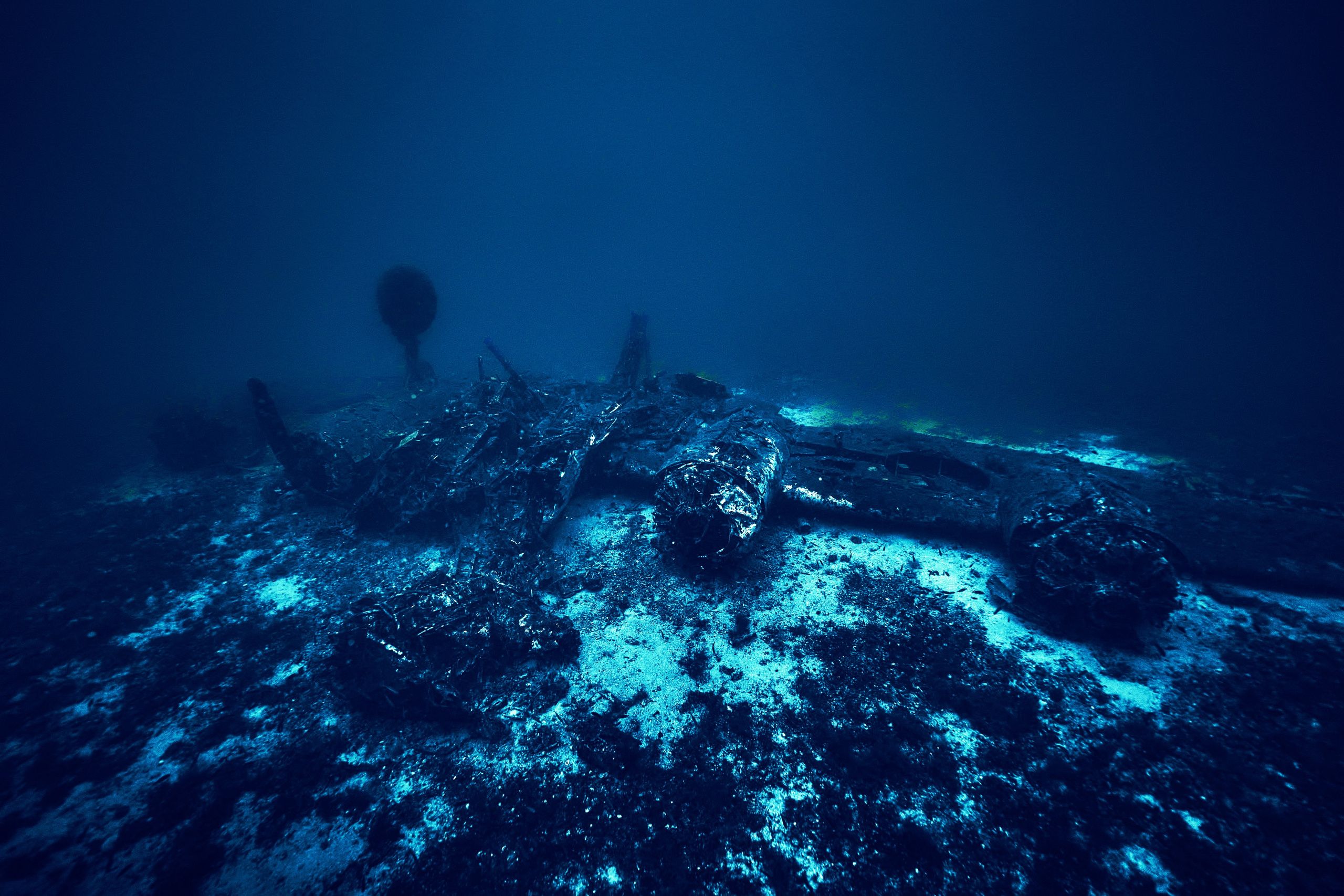 Fotograf podwodny Andriej Szypilow. Wrak samolotu B-24 Liberator „Tulsamerican” spoczywa na dnie Adriatyku w pobliżu wysepki Veli Paržanj, położonej na południowy wschód od wyspy Vis. Samolot był ostatnim egzemplarzem wyprodukowanym w fabryce Douglas w Tulsie w stanie Oklahoma, a za jego powstanie zapłacili pracownicy fabryki i okoliczni mieszkańcy, nadając mu przezwisko „Tulsamerican” (ten egzemplarz - między innymi - zrzucał zaopatrzenie dla Powstania Warszawskiego).