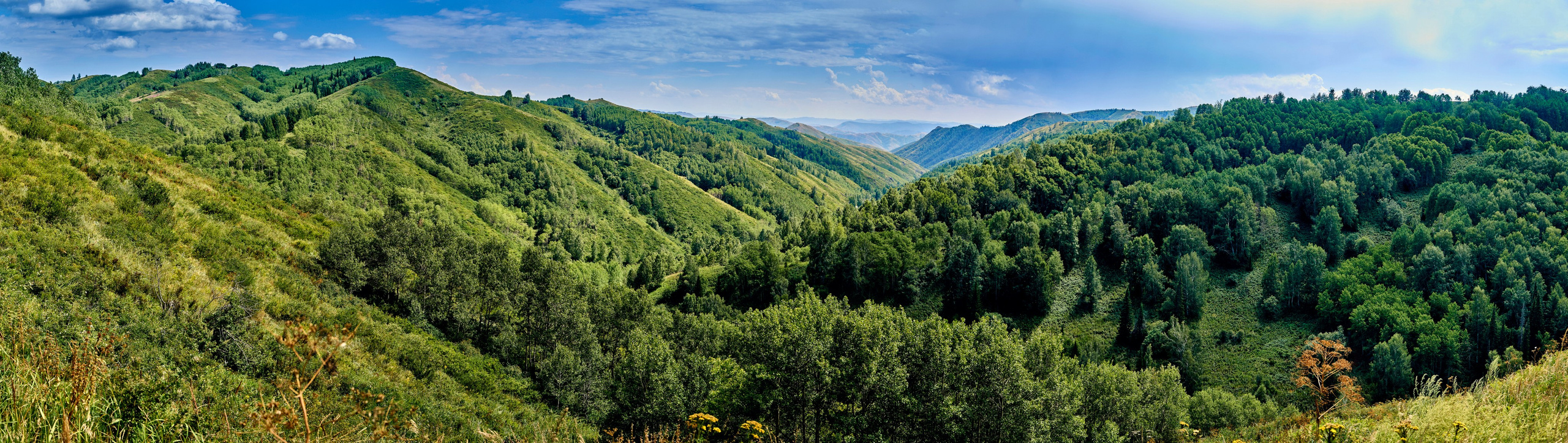 Buchtarma (Kazachstan). Andriej Szypilow - Fotografia & Wideografia
