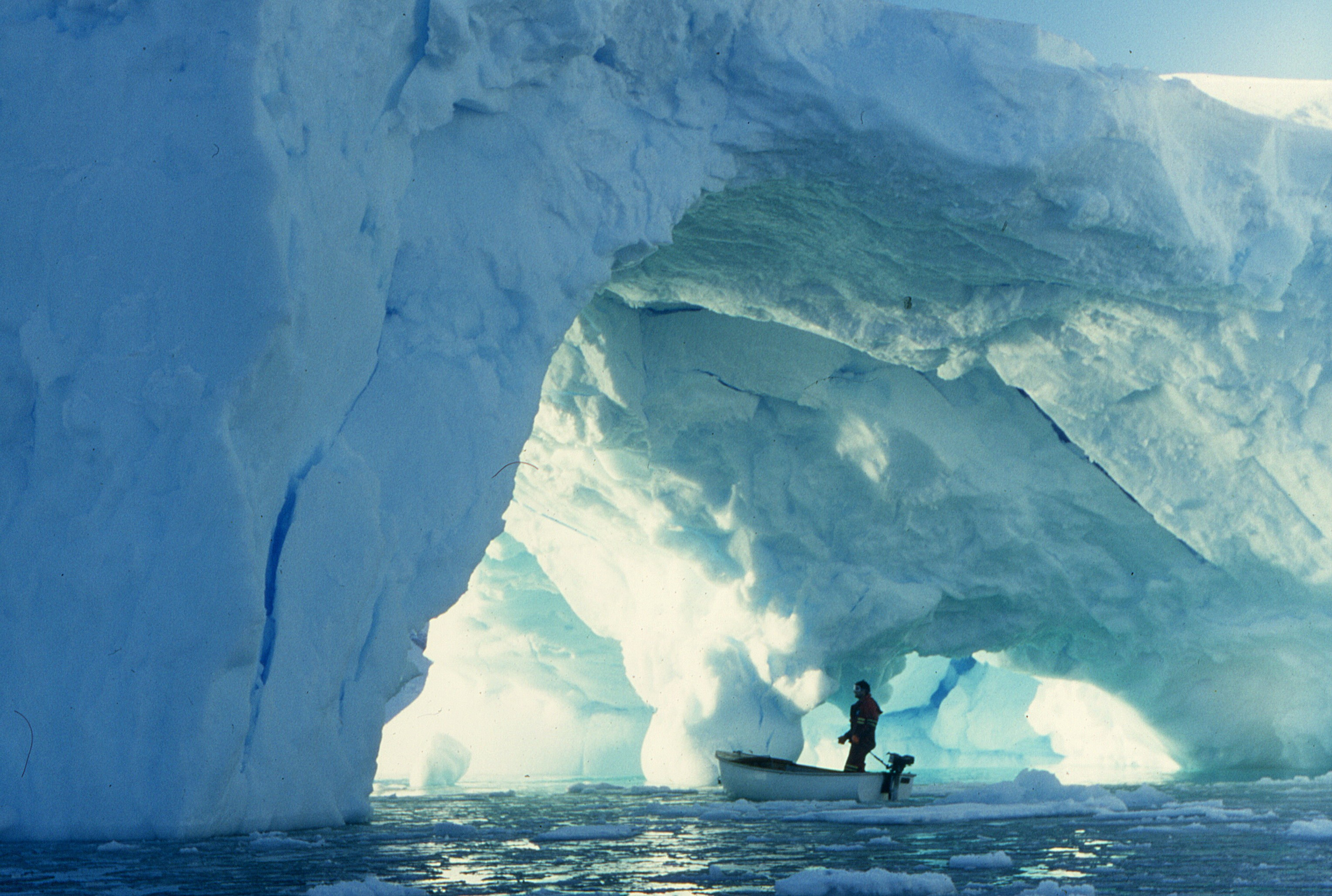 ANTARCTICA. Reportage concert portrait photography in the San Francisco Bay Area