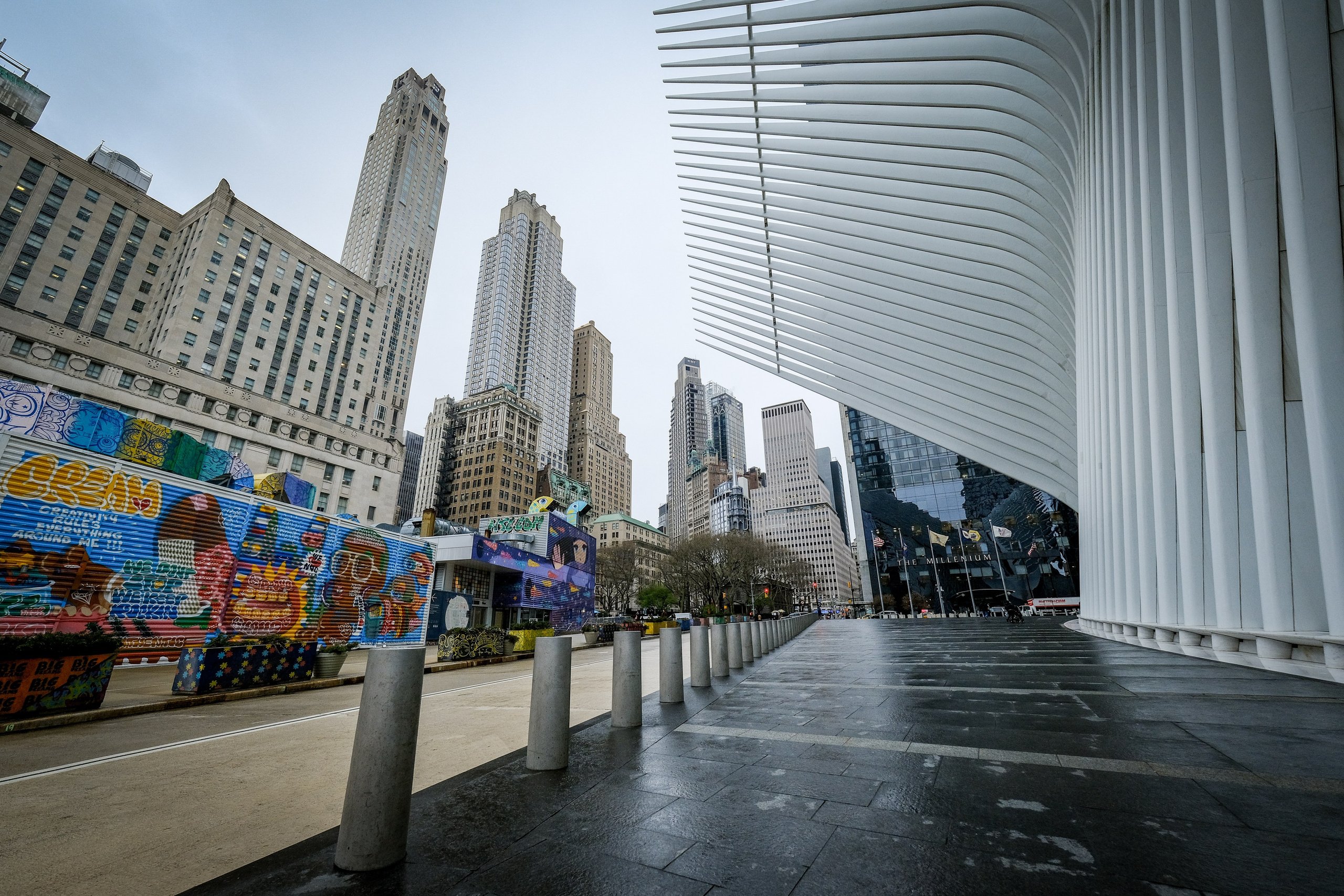 NEW YORK / 2025. Reportage concert portrait photography in the San Francisco Bay Area