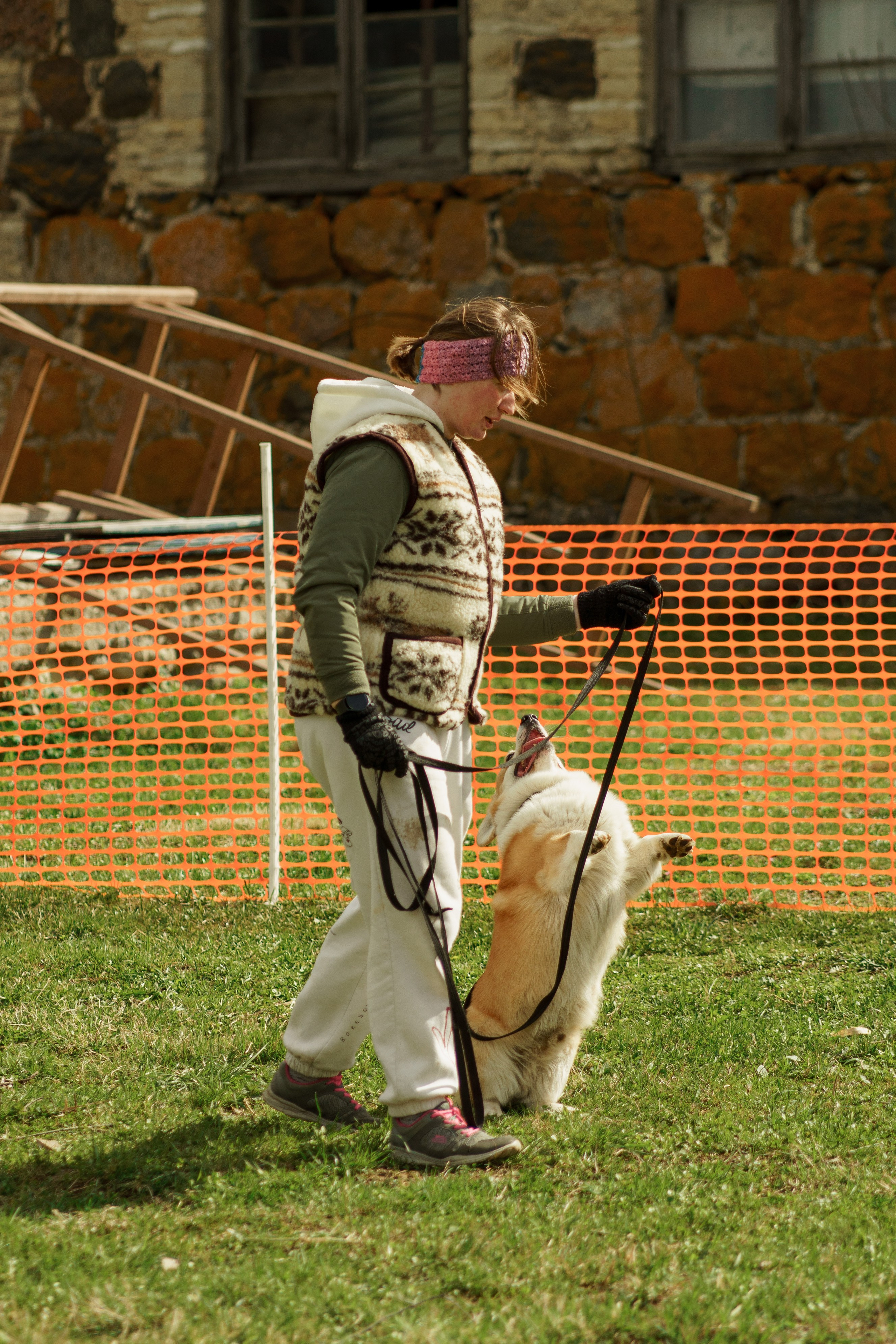 Herding Days, 26 apr. 2025. Kat Laisaar — Pet photographer in Tallinn