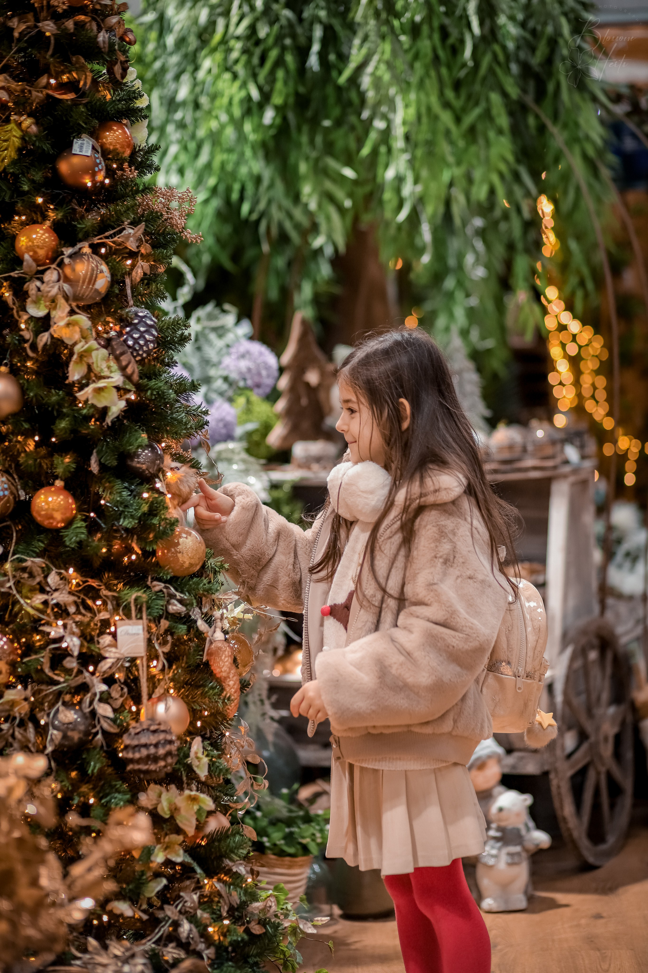 Christmas is coming. Family & children’s photographer in Herts & West London Iryna Blair