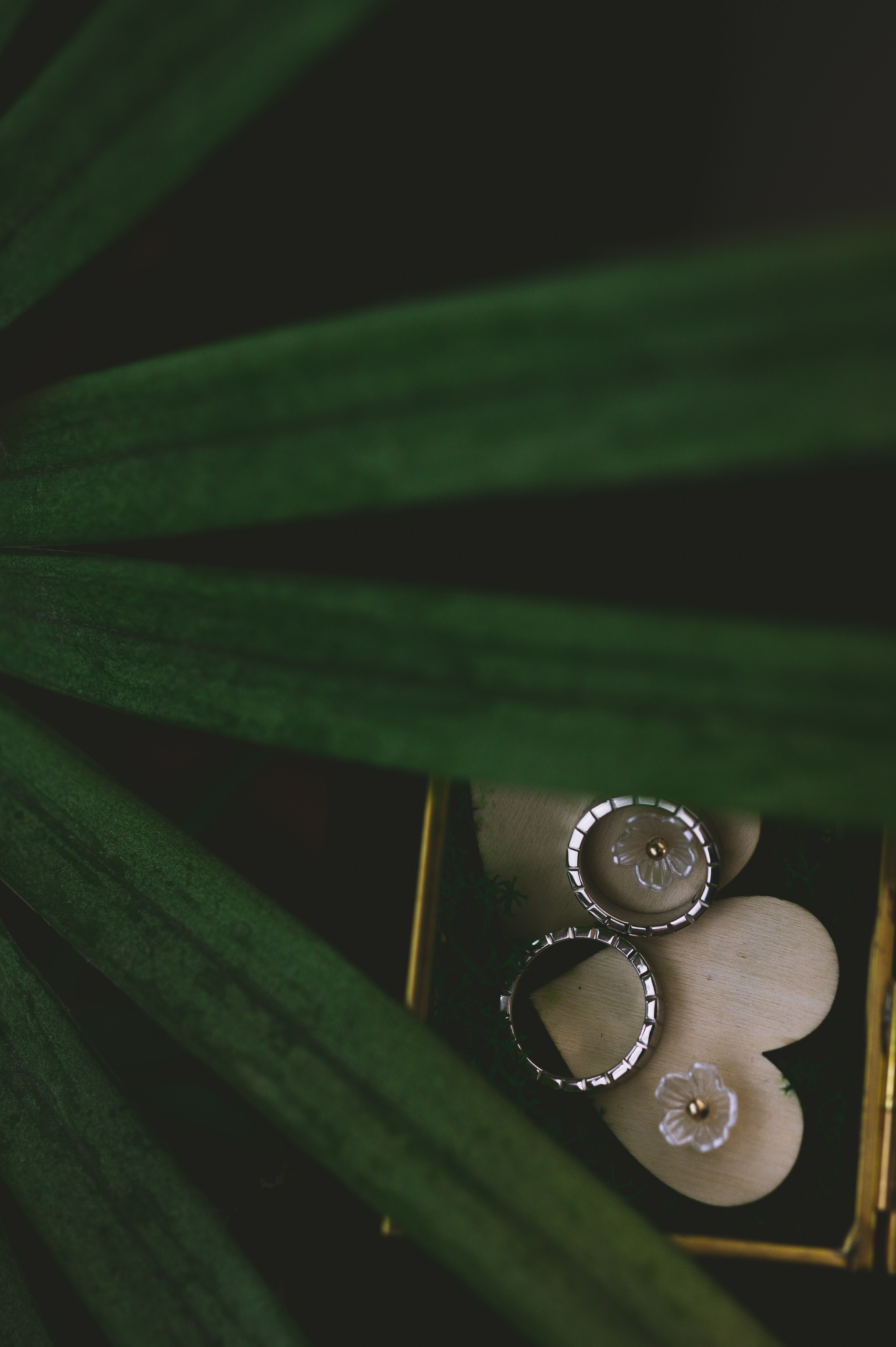 Ruxandra&Catalin | Nunta Alexandria. Claudiupaunica.ro