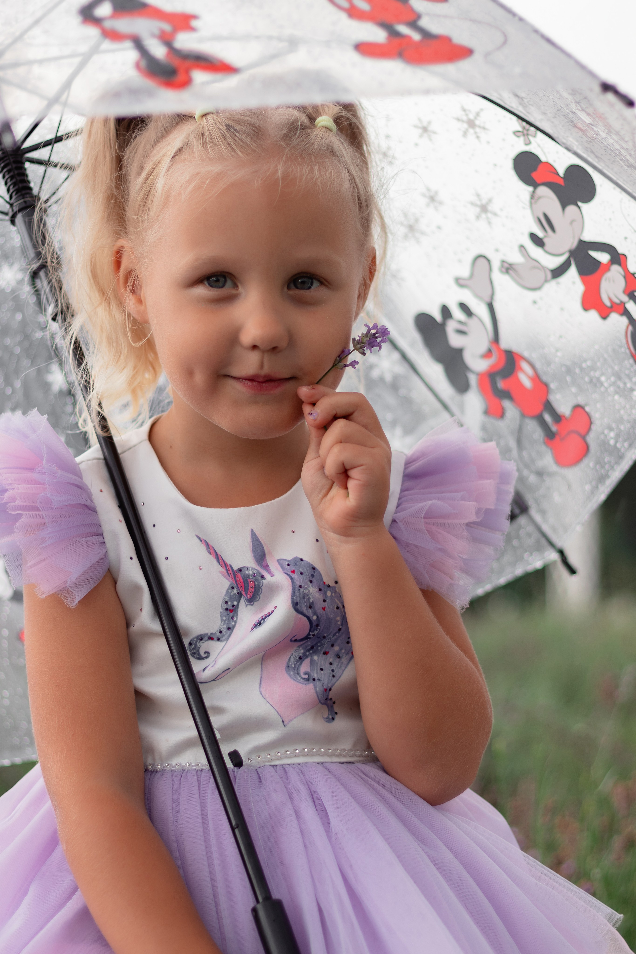 Лавандовое поле