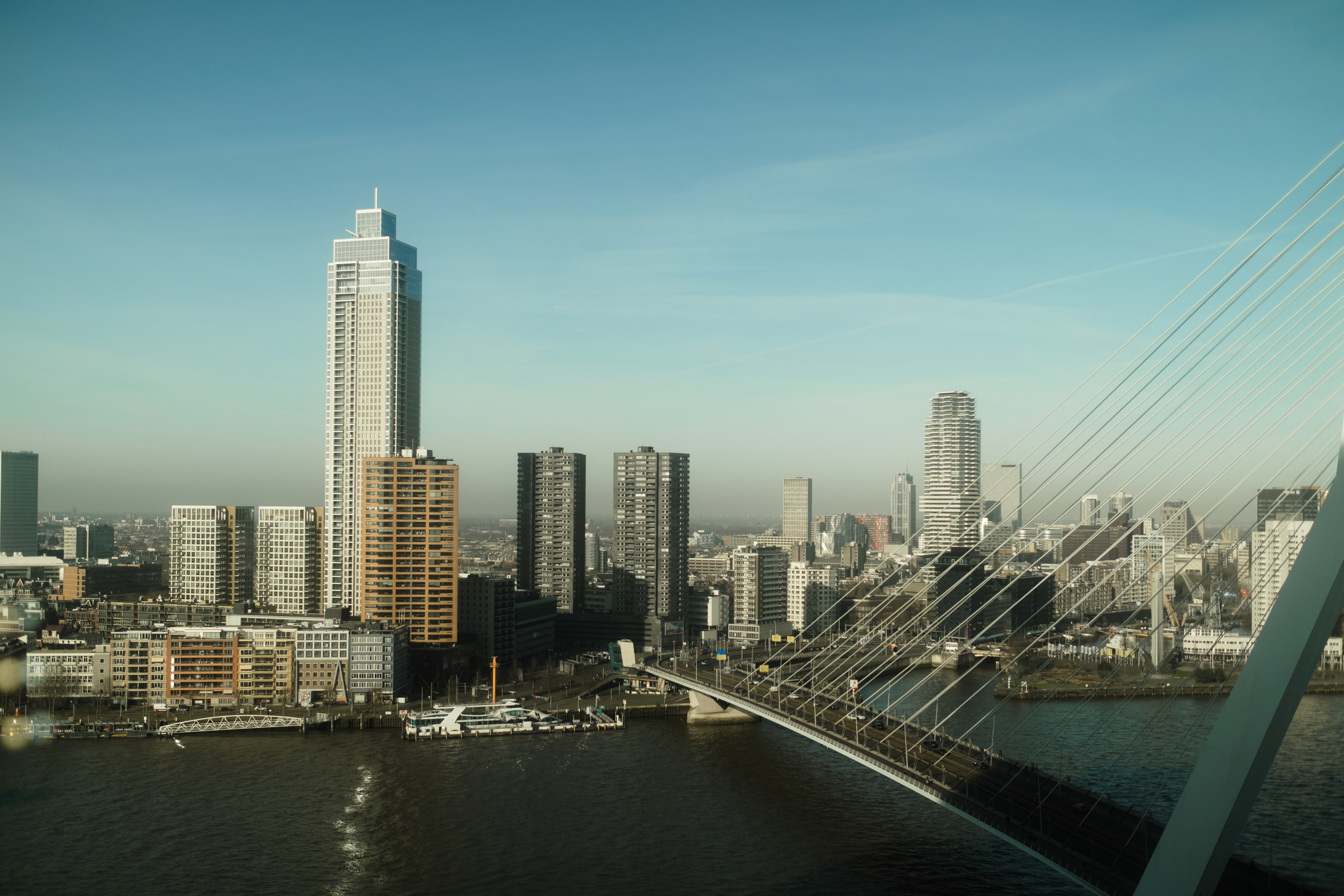 Flo & Men. Rotterdam. Paola fotógrafo / videografo de bodas en Barcelona