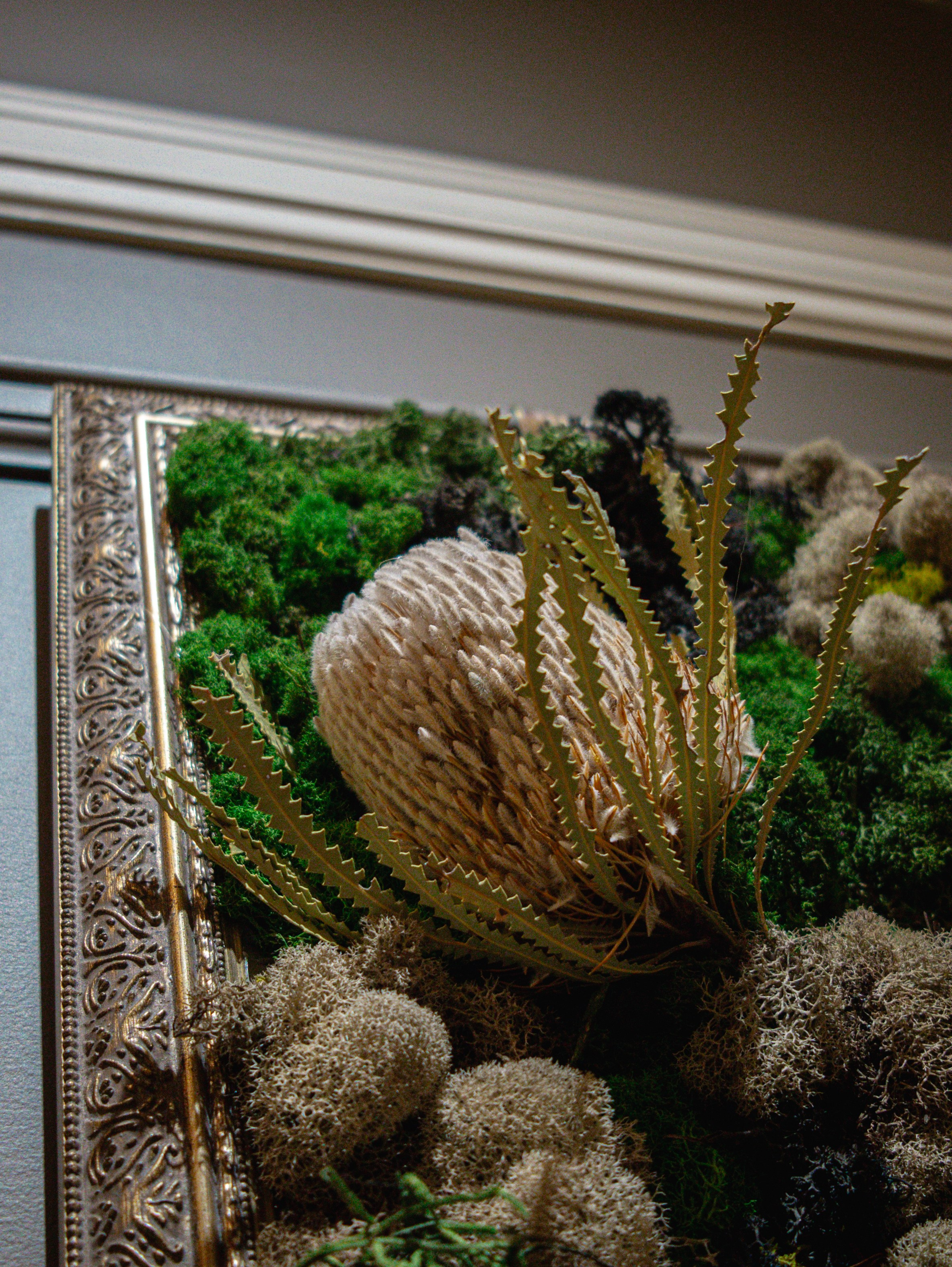 Anna & Moss magic, Content. Yana Bobrova | Artistic Photography