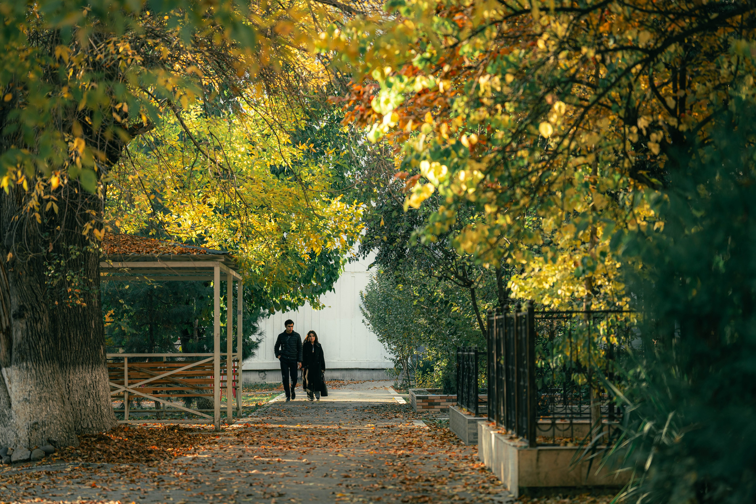 Ташкентская осень. Георгий Намазов | Фотограф в Ташкенте