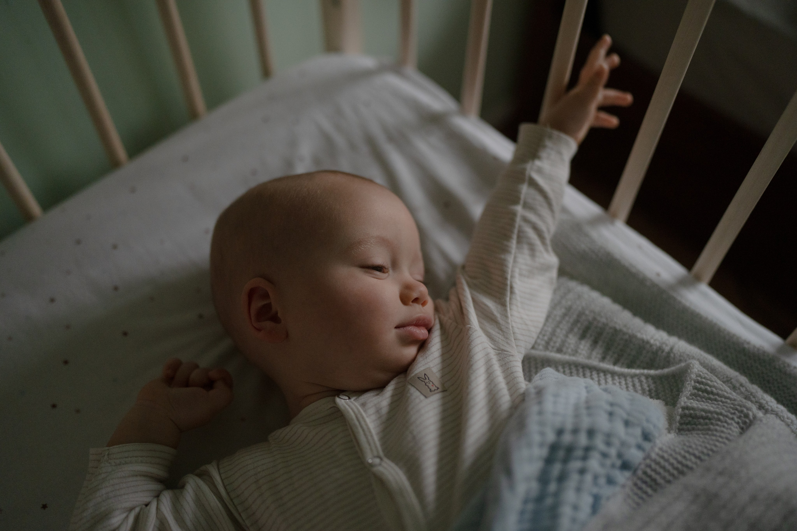 Alena, Vlad and their son Lev. Main