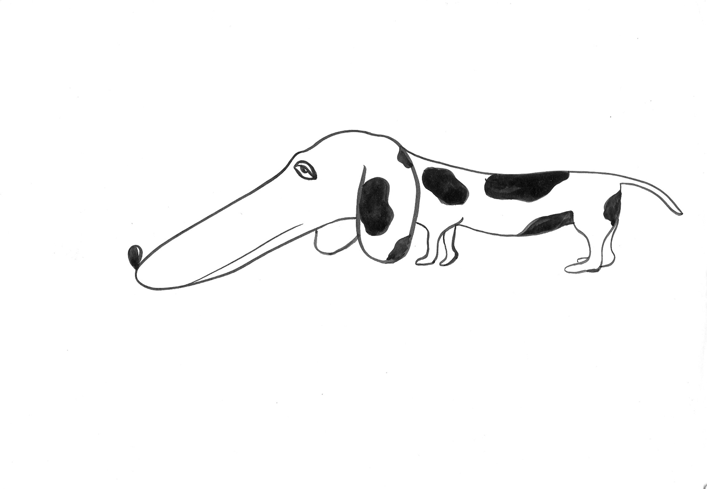 Рисунки. Британский фотограф Эльмира Watts (родом из Самары)