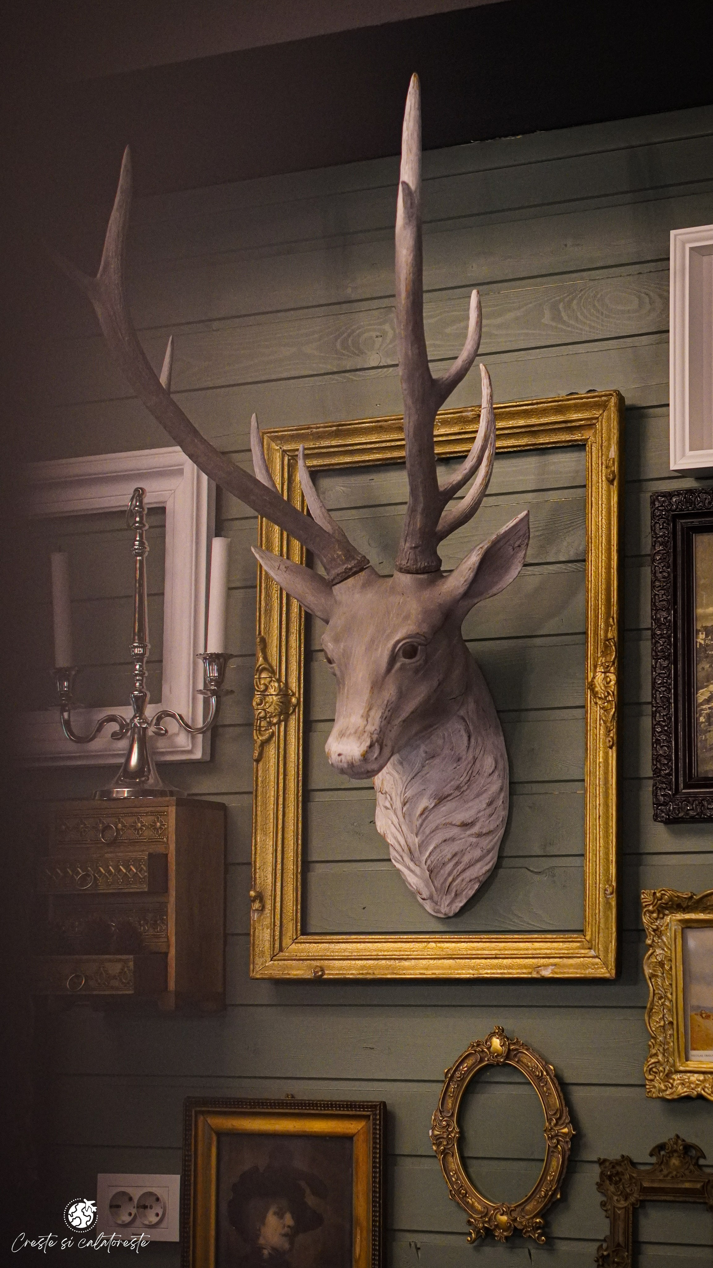 Bransilvania. Creste si calatoreste