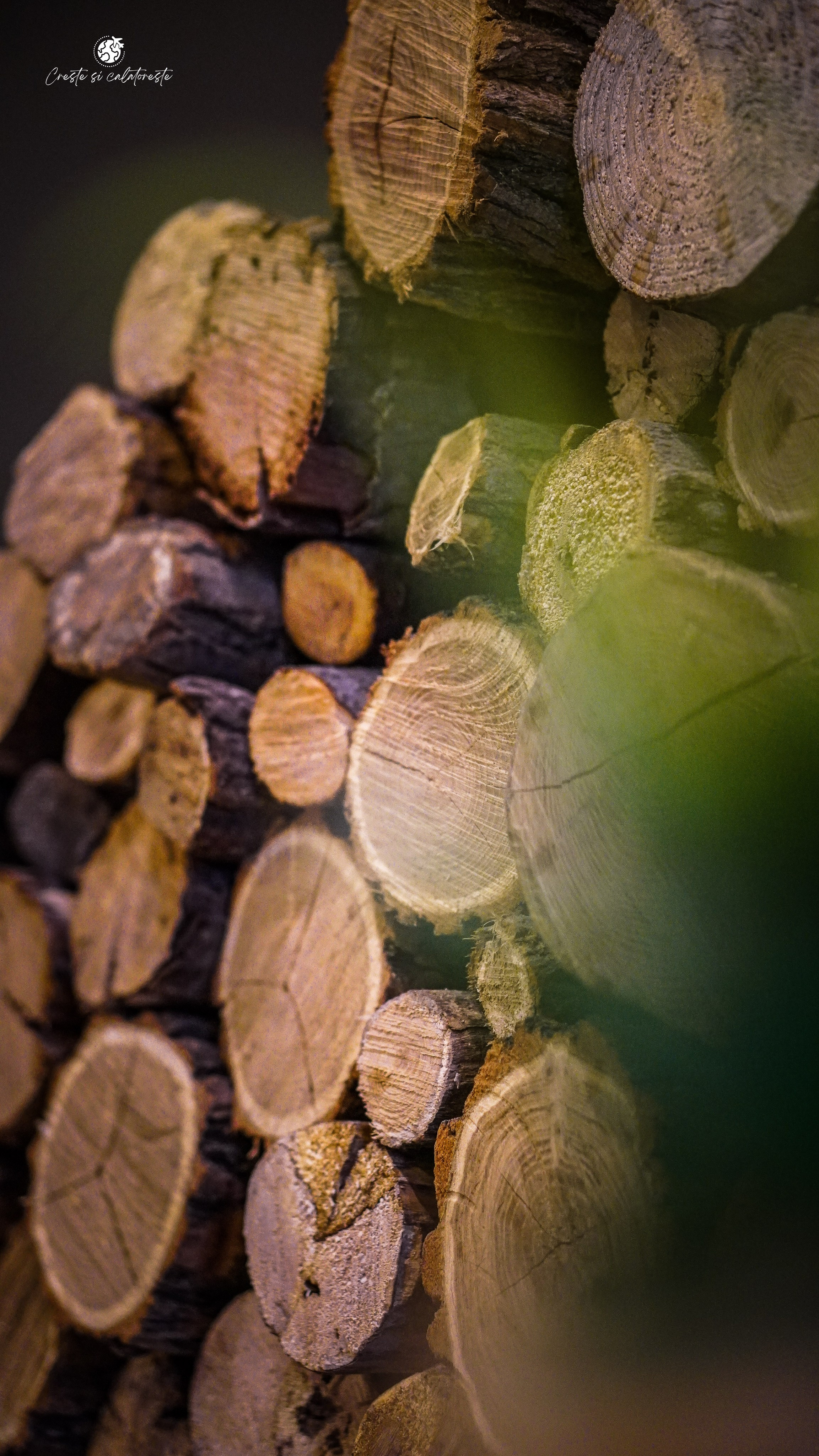 Bacolux Diana. Creste si calatoreste