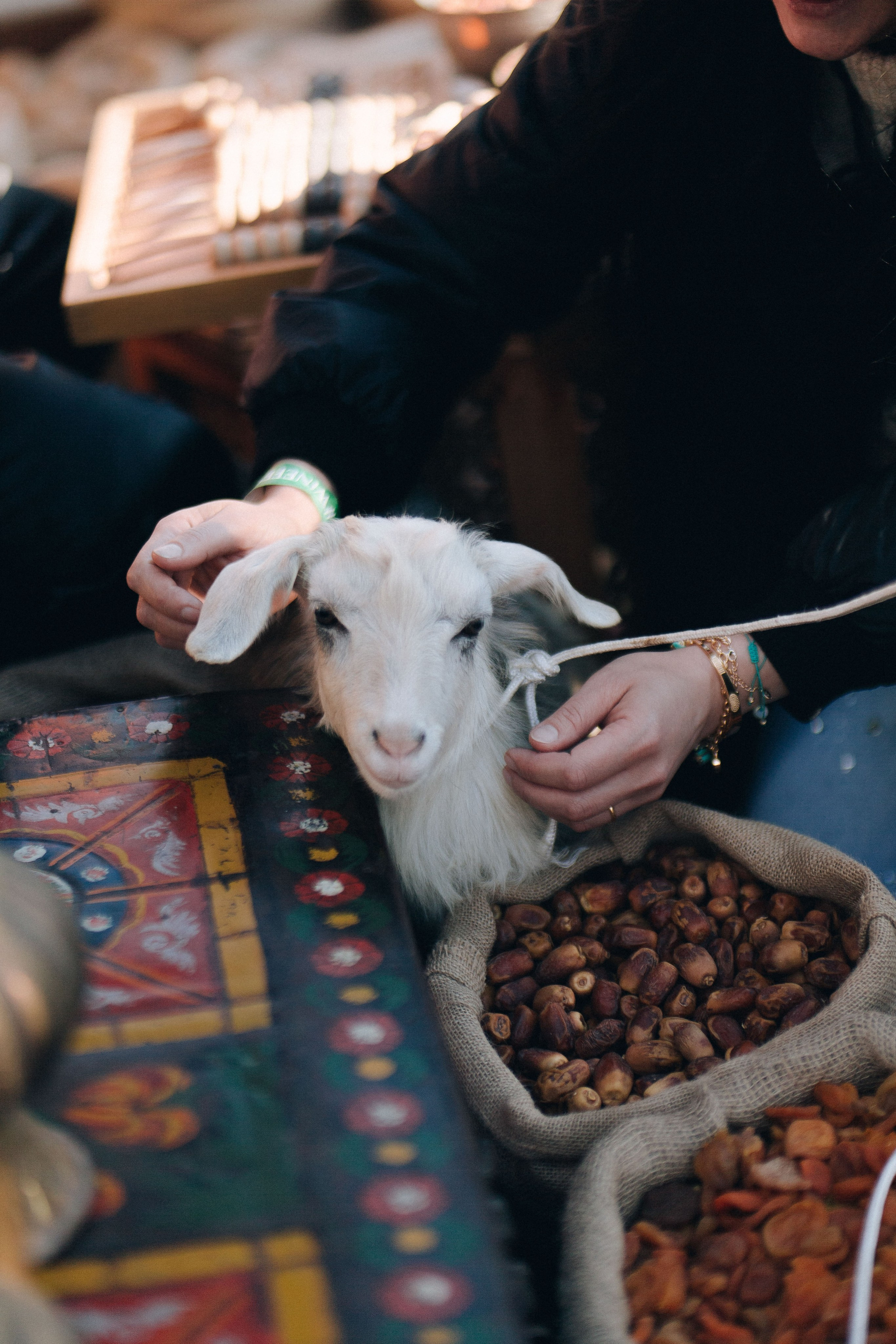MEYSARI WINE FESTIVAL. Wedding&Event photographer Ismail Rzayev in Baku