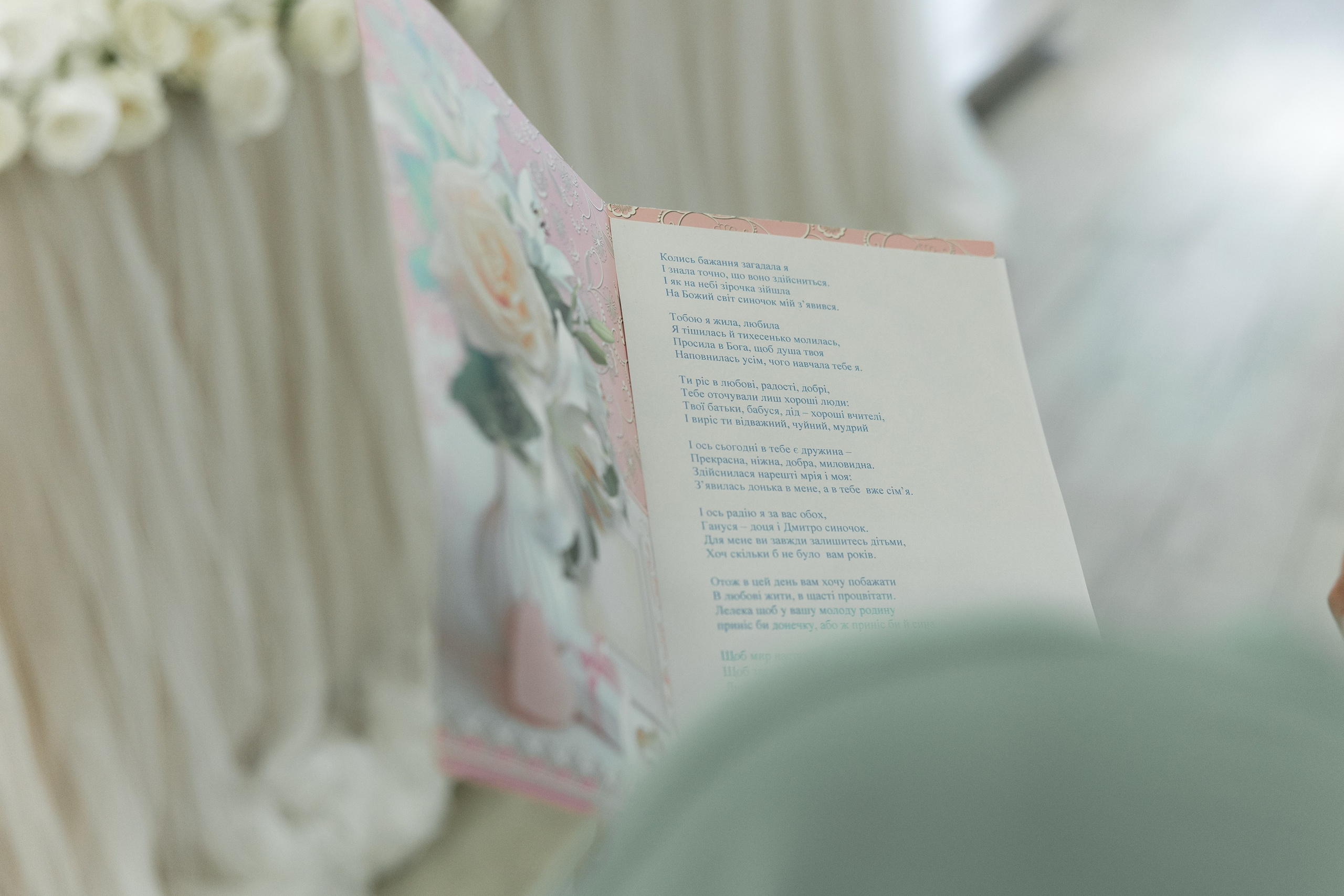 Anna Dmytro. Ірина Терещук