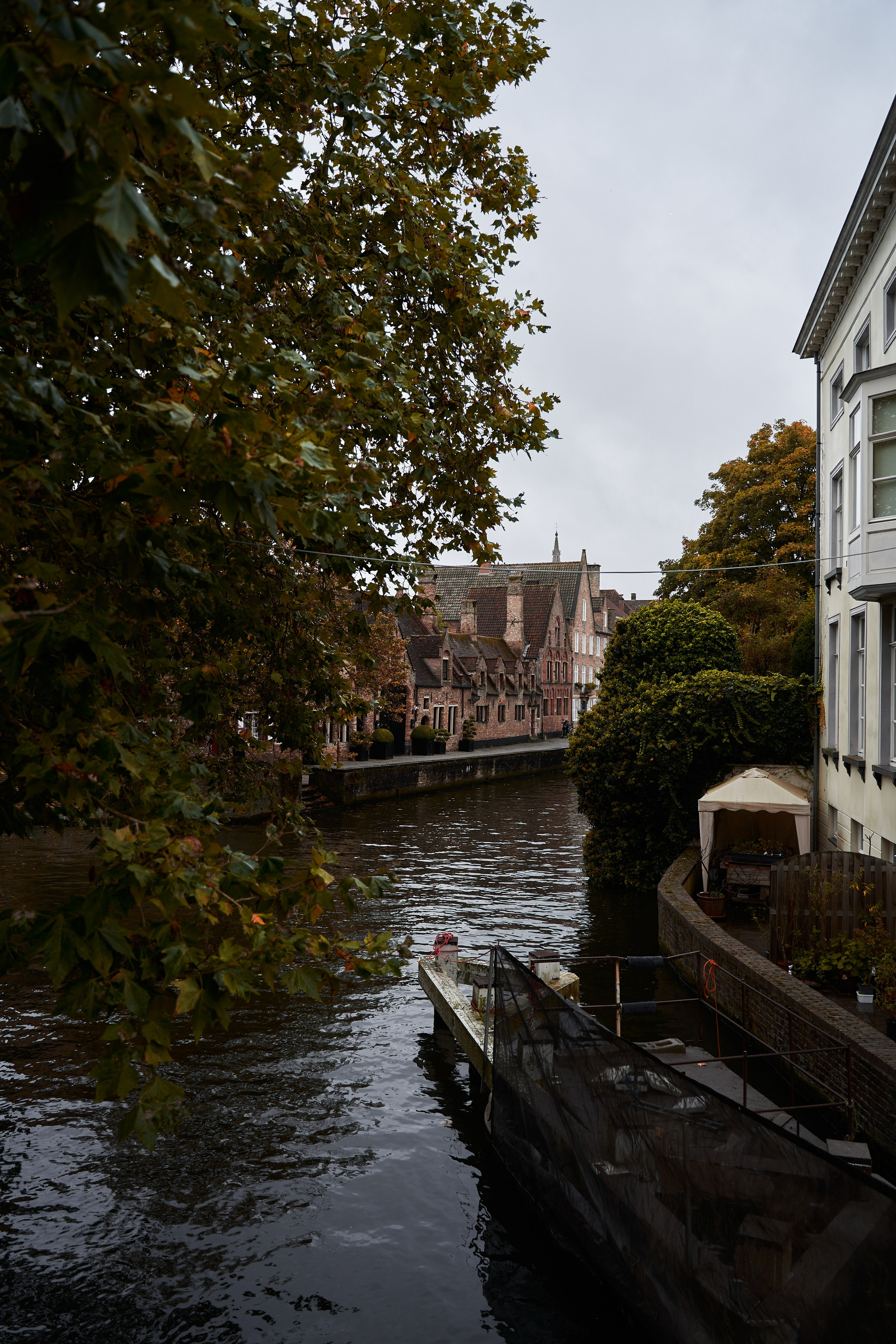 Belgium. Denshyr — Visual Artist