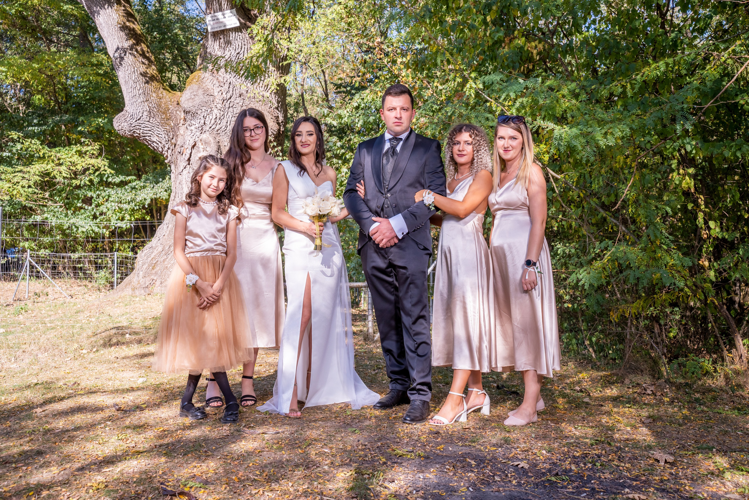 Nuntă Adina & Sorin
