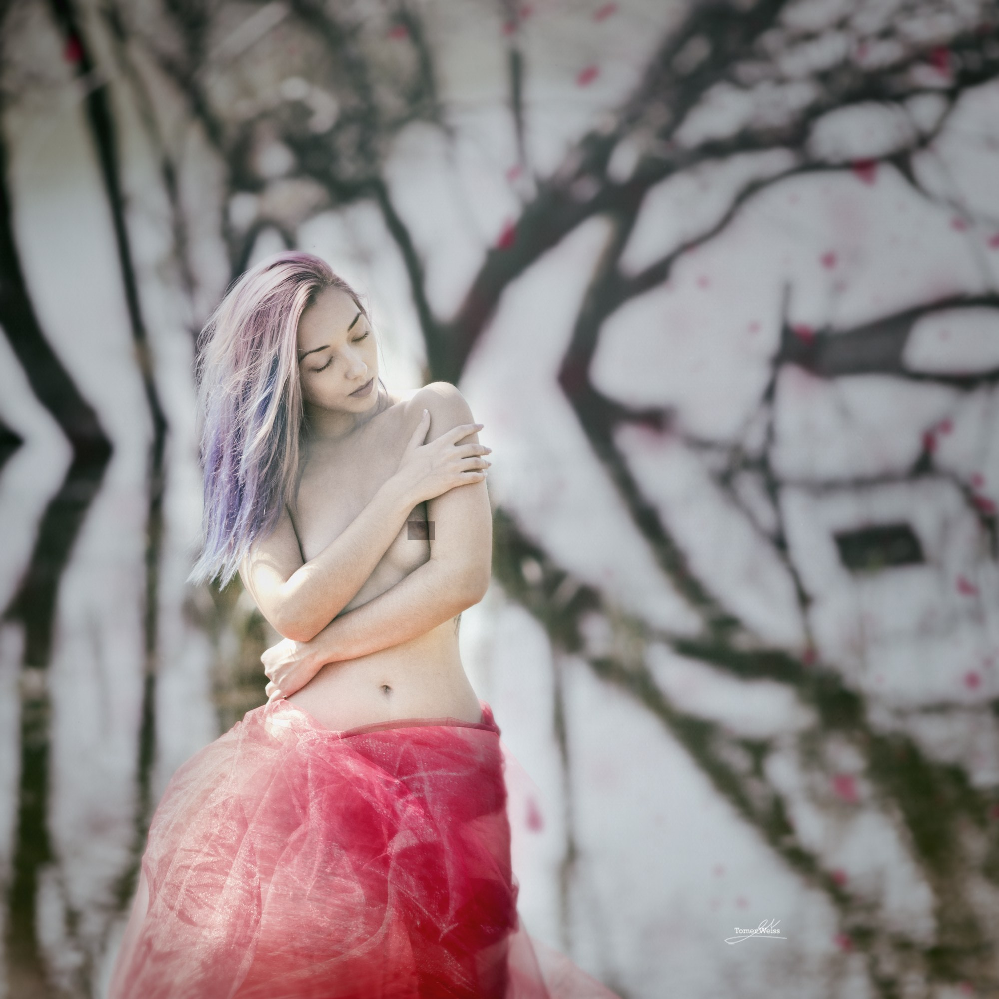 Fine Art Image gallery of Tomer Weiss Fine art