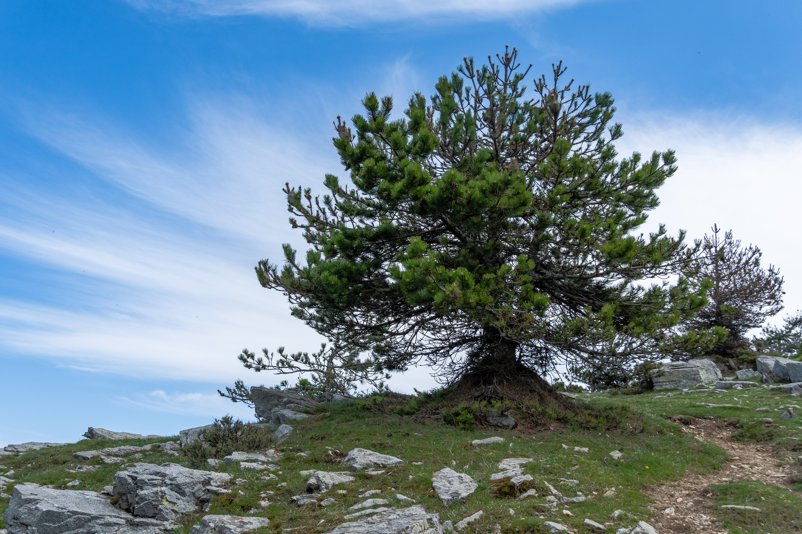 Thasos 2025. Fotografiideplacere.net
