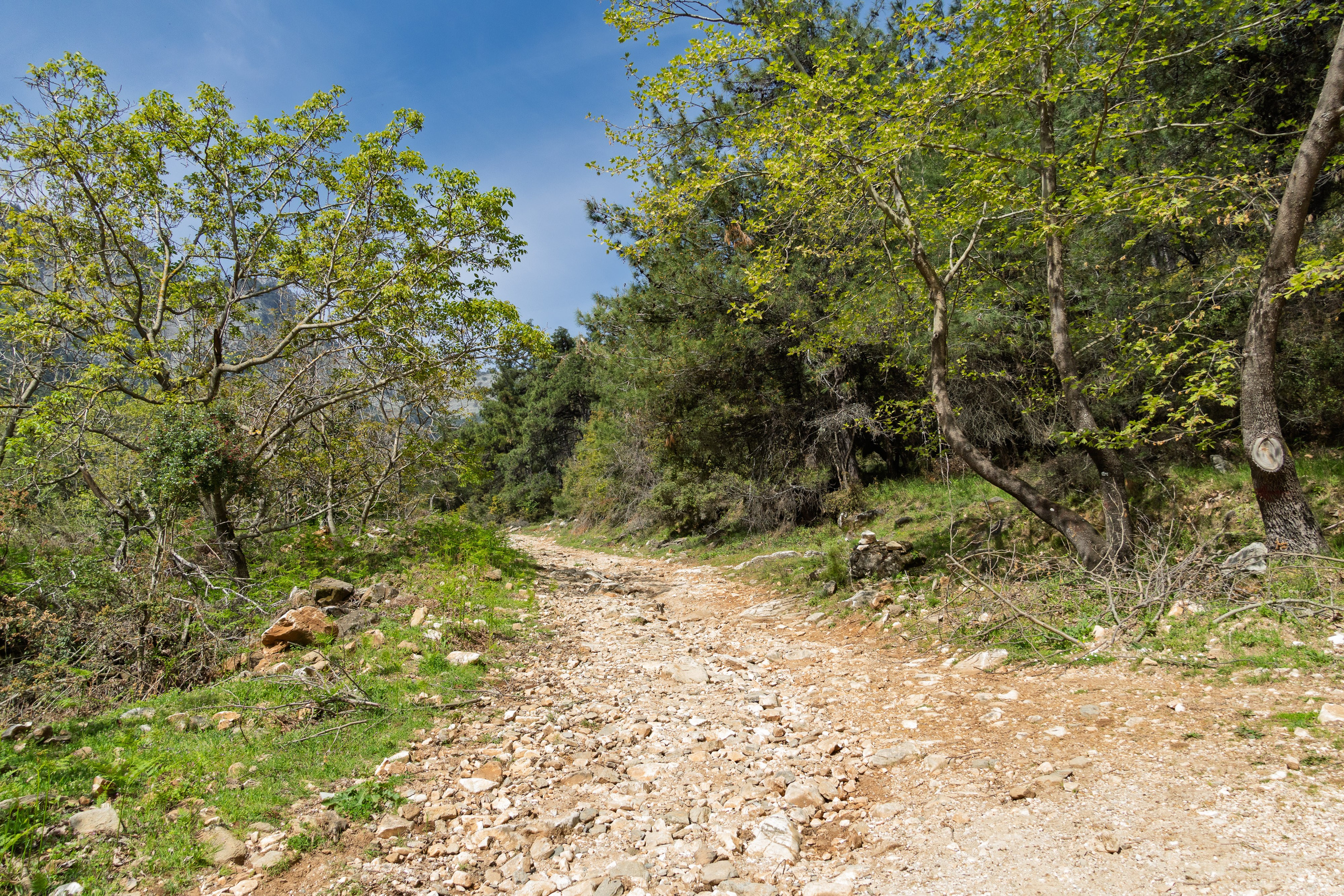 Thasos 2025. Fotografiideplacere.net