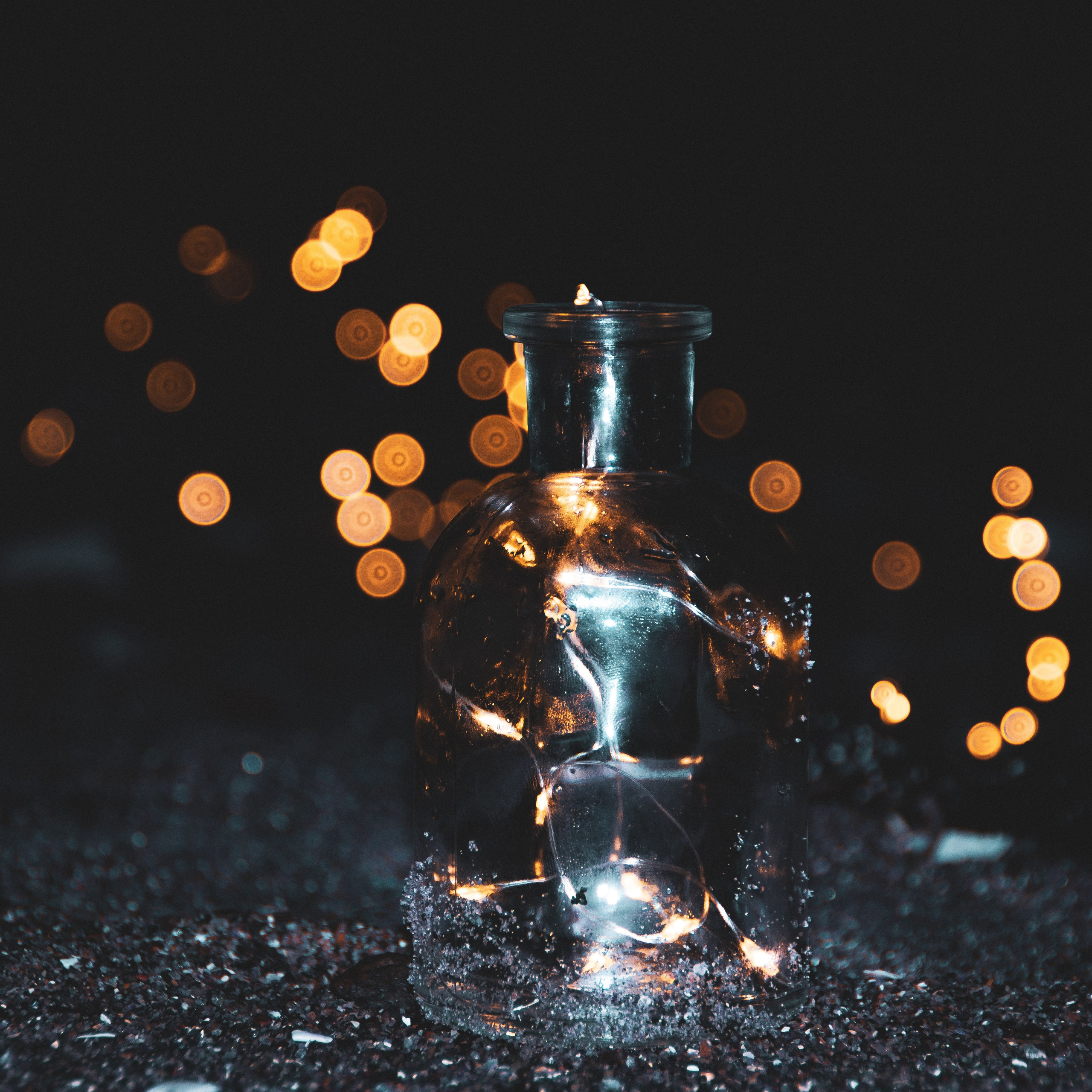 Portfolio. Photographer in Sotenäs municipality. Fotograf i Sotenäs kommun