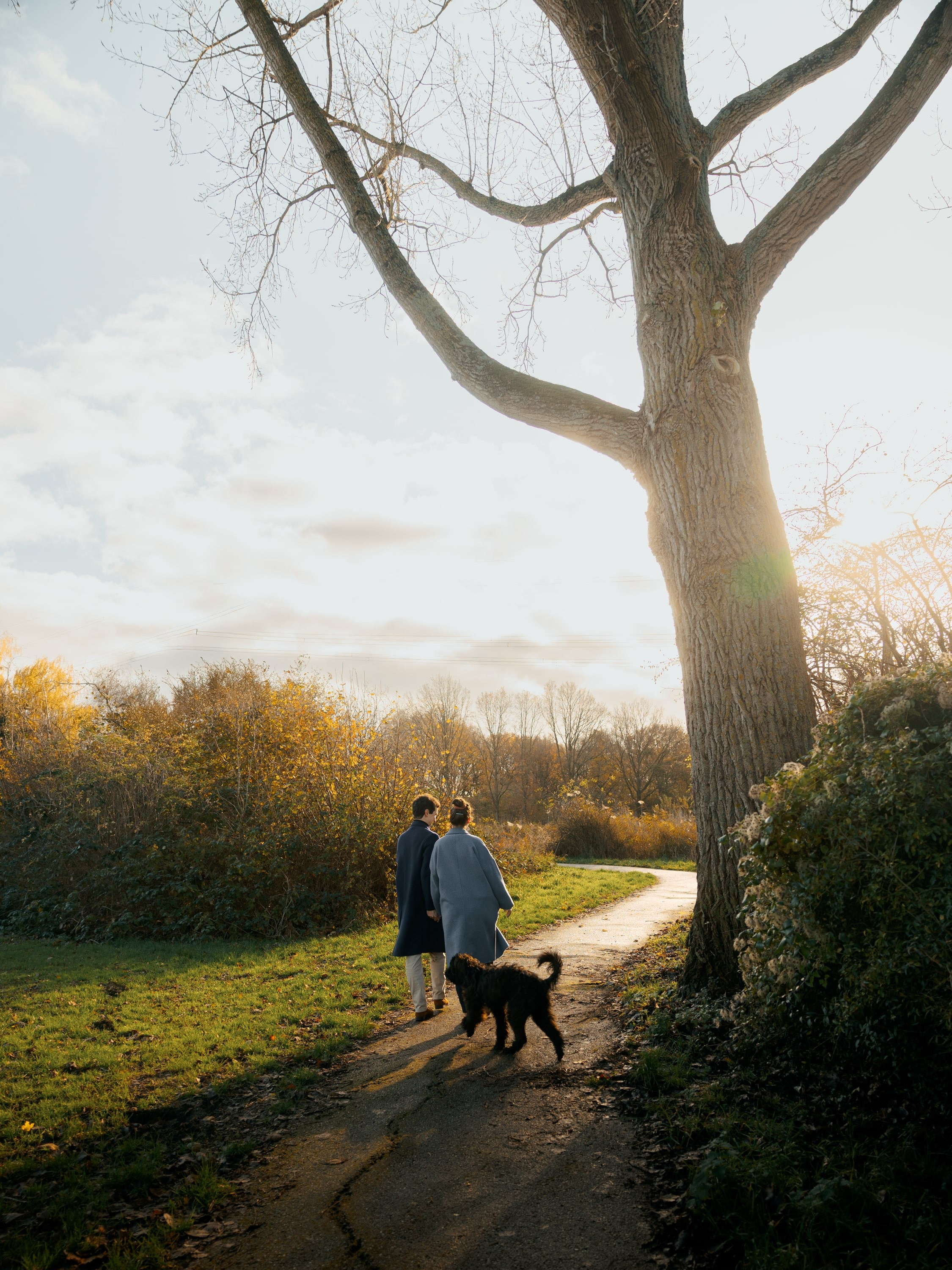 Pet Photoshoot in Spijkenisse | Rotterdam. Romantic & Soulful Photography by Natalia Olhova in Rotterdam