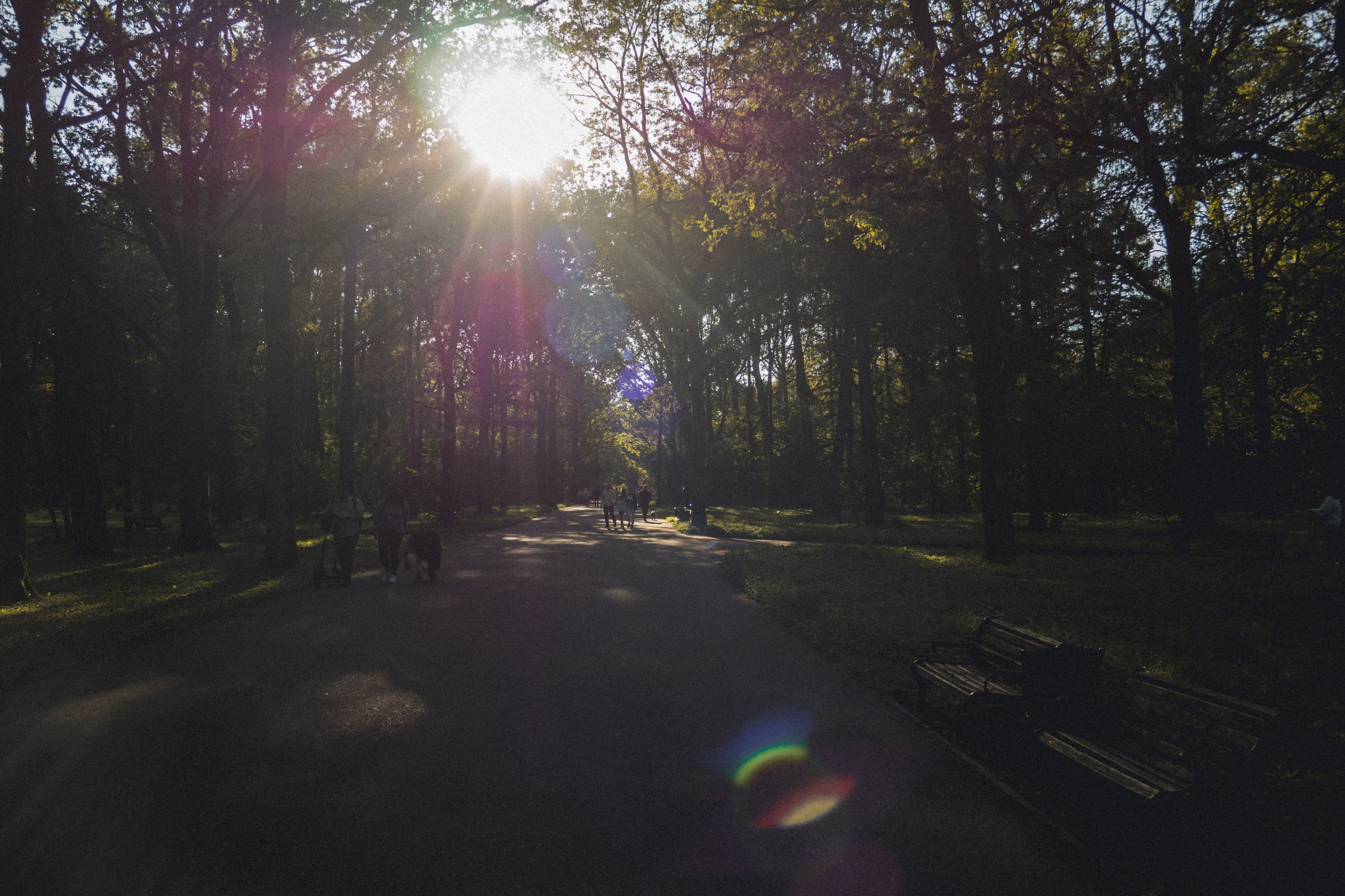 ВДНХ и Ботанический сад. Семейный и детский фотограф на Лазурном Берегу