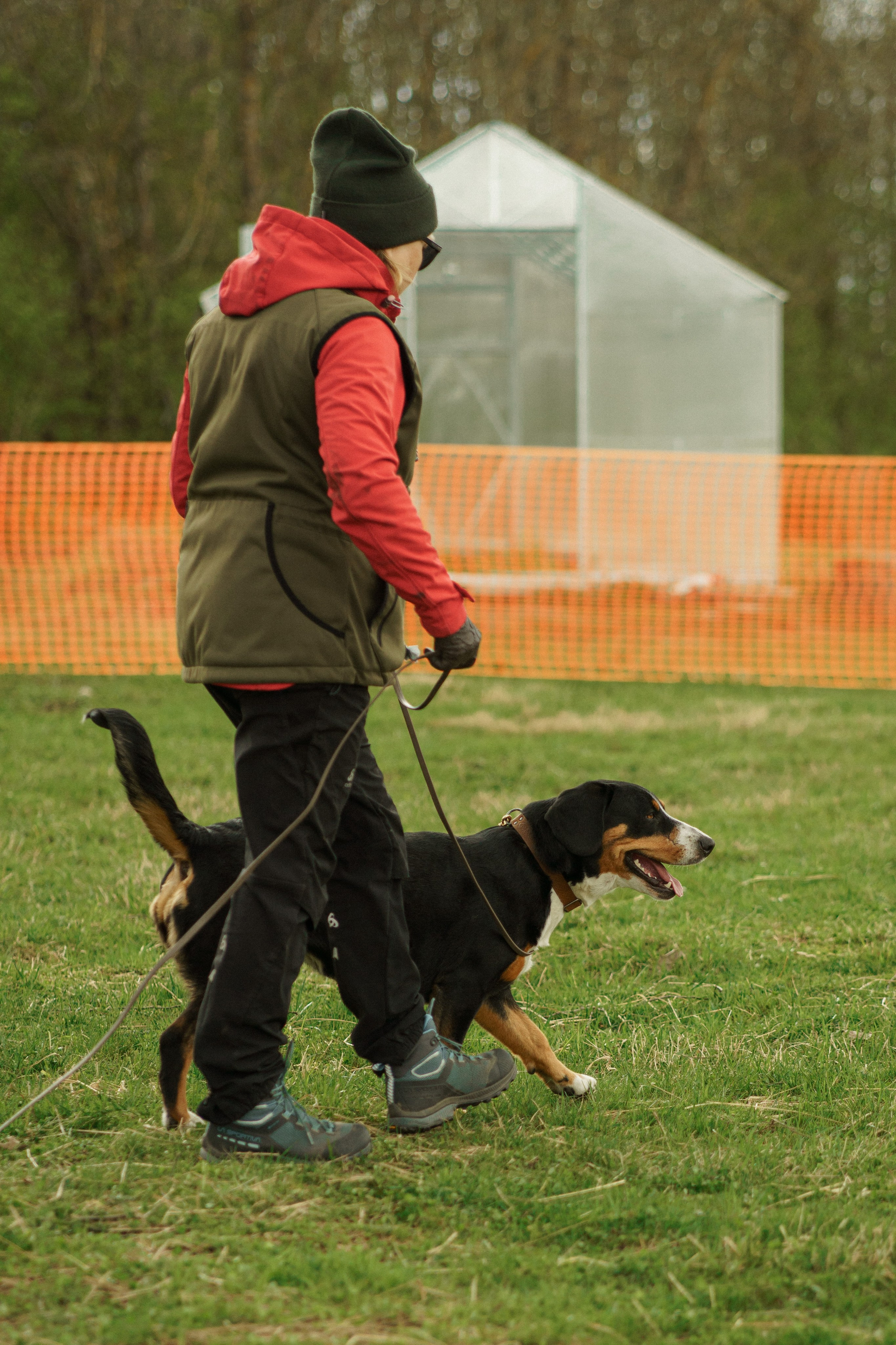 Herding Days, 26 apr. 2025. Kat Laisaar — Pet photographer in Tallinn