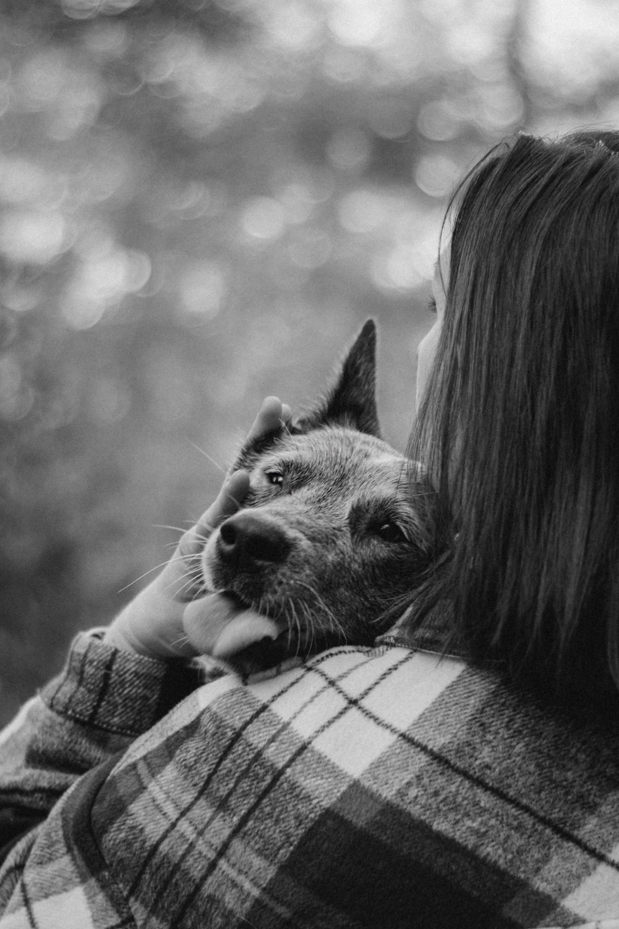 Polina and her Dakota, Blue Heeler. Kat Laisaar — Pet photographer in Tallinn