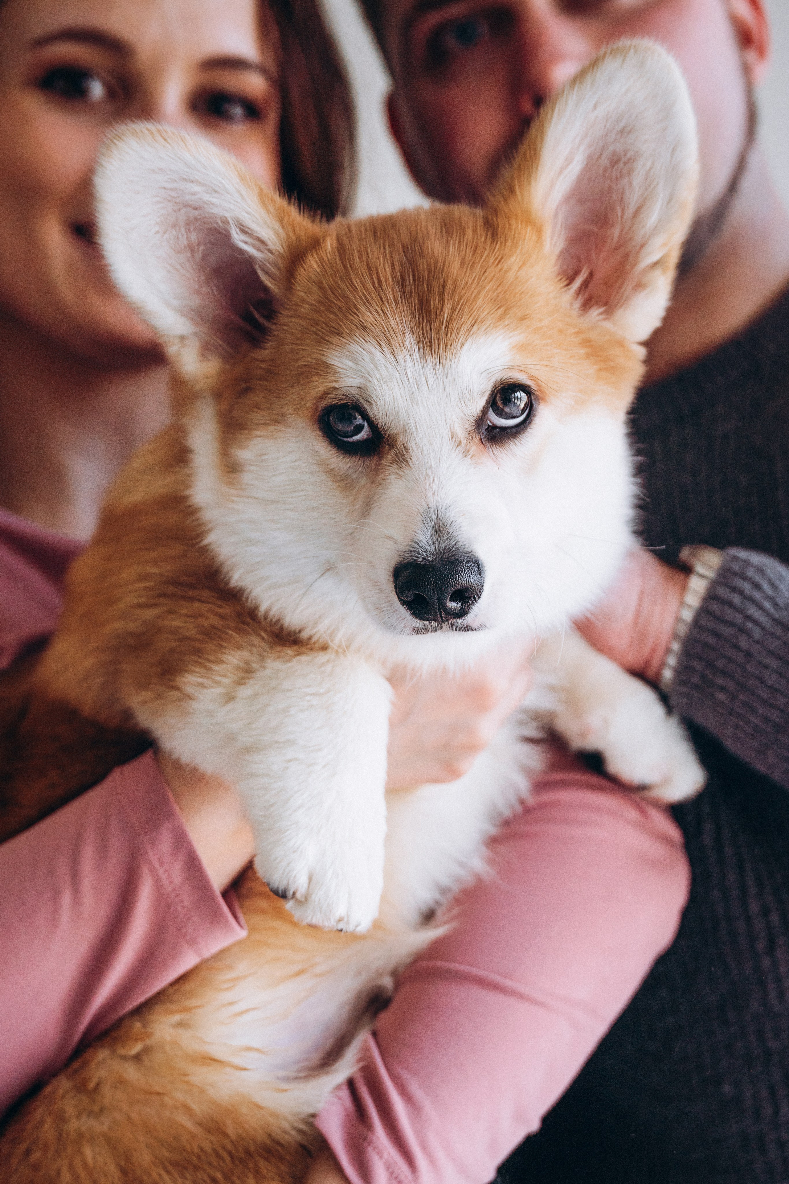 Mars & his Family. Kat Laisaar — Pet photographer in Tallinn
