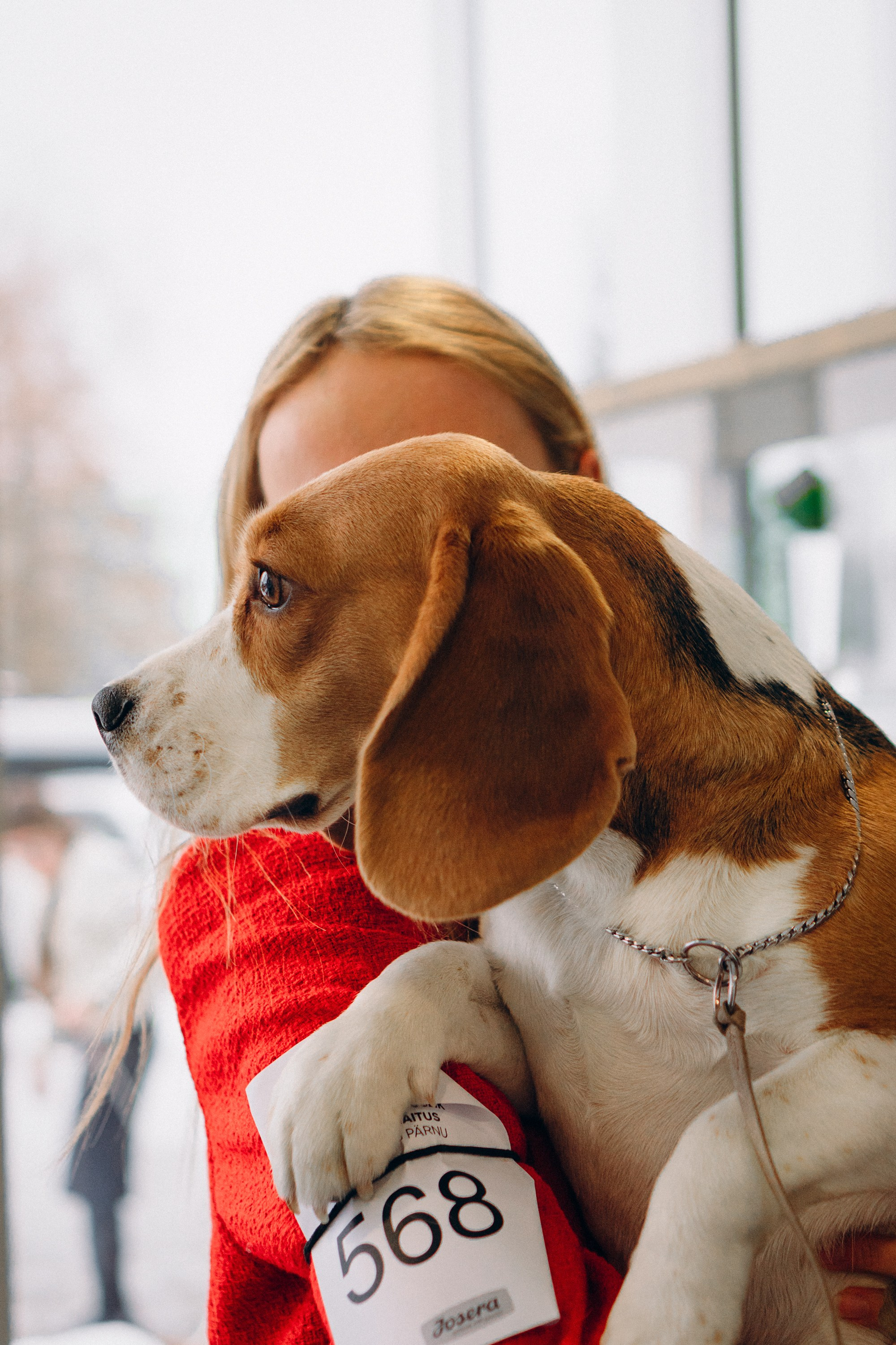 Luure & Cascada. Kat Laisaar — Pet photographer in Tallinn