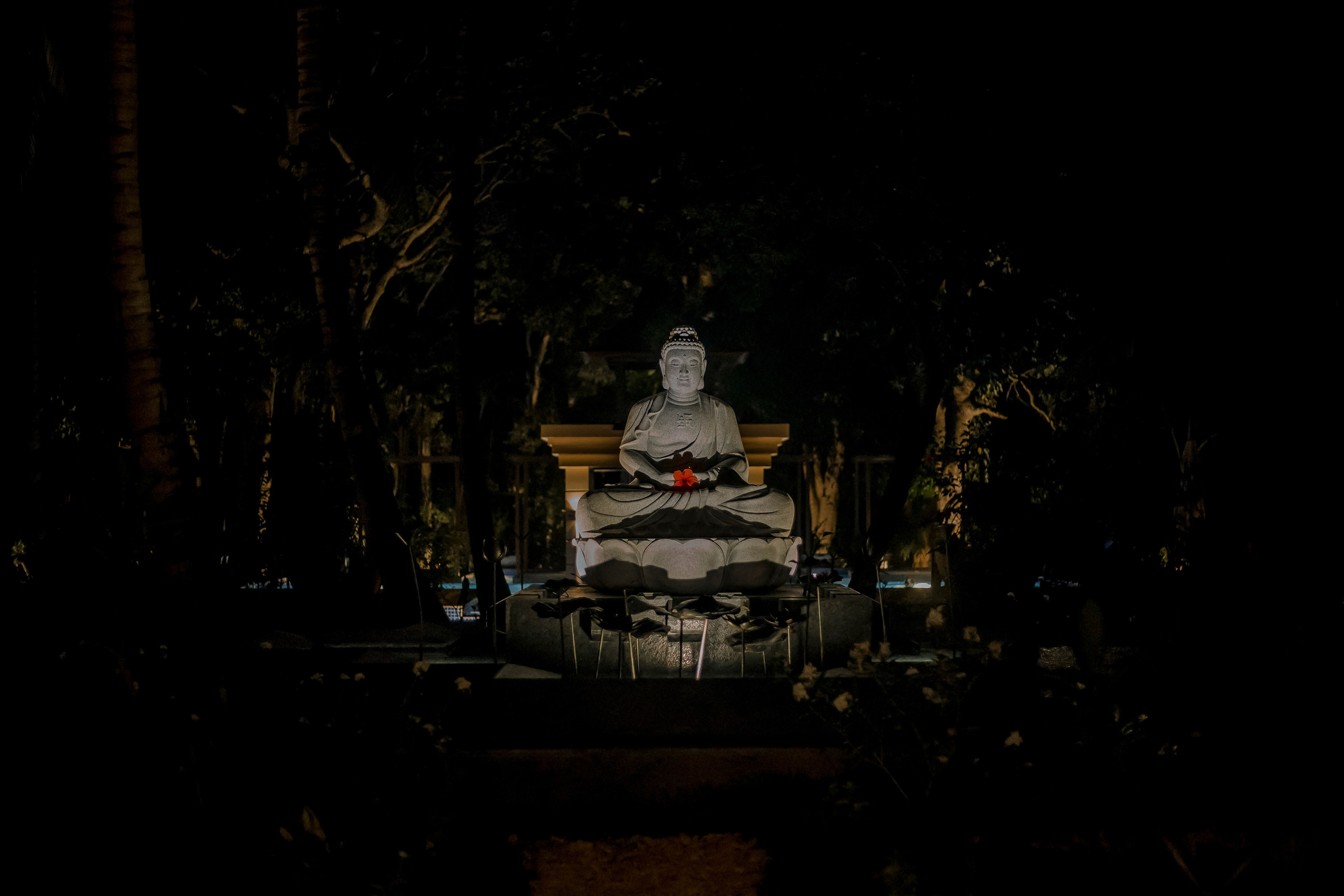 Andaman Islands, Part2. Art Photographer