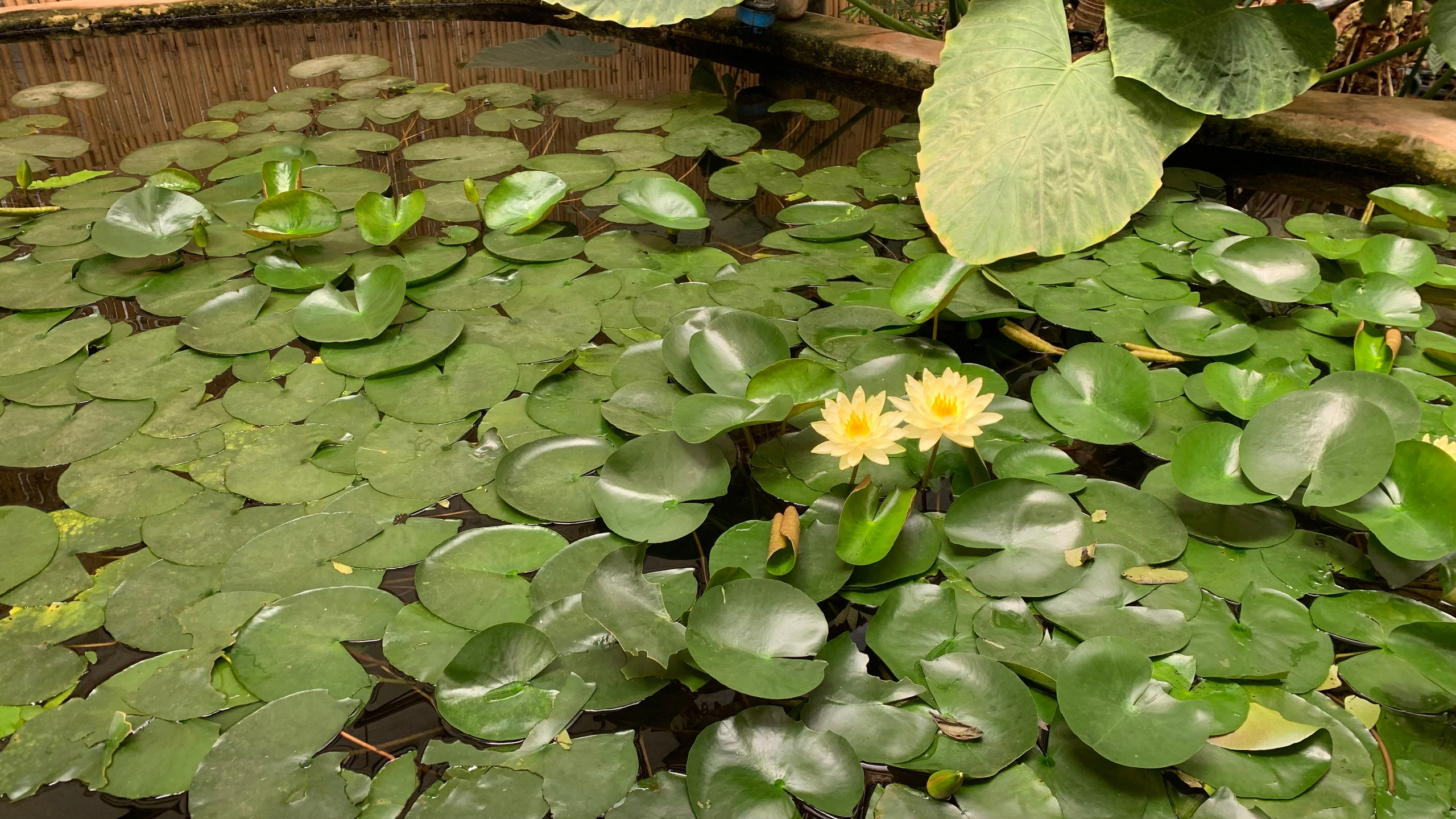 Everything from everything