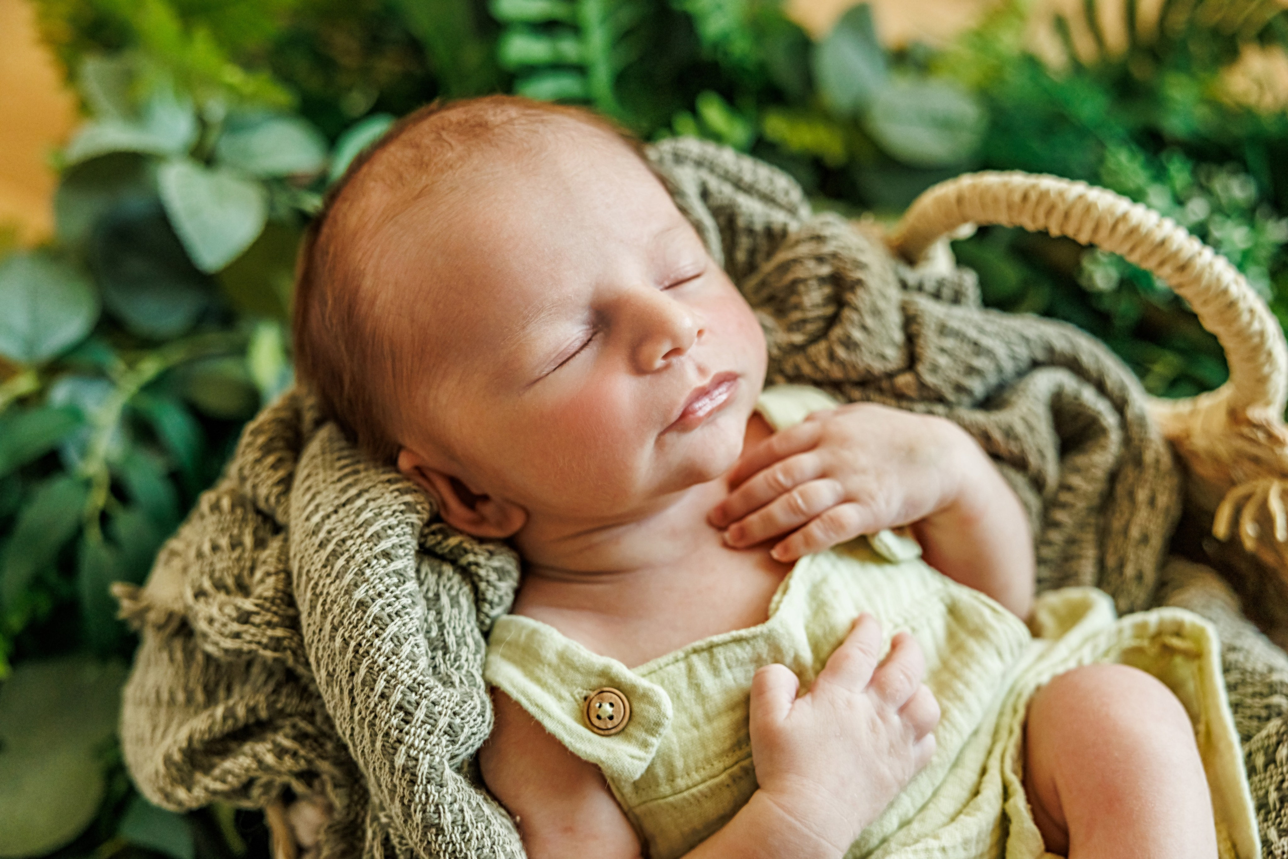 Baby Boy. Фотограф Ирина Йотова