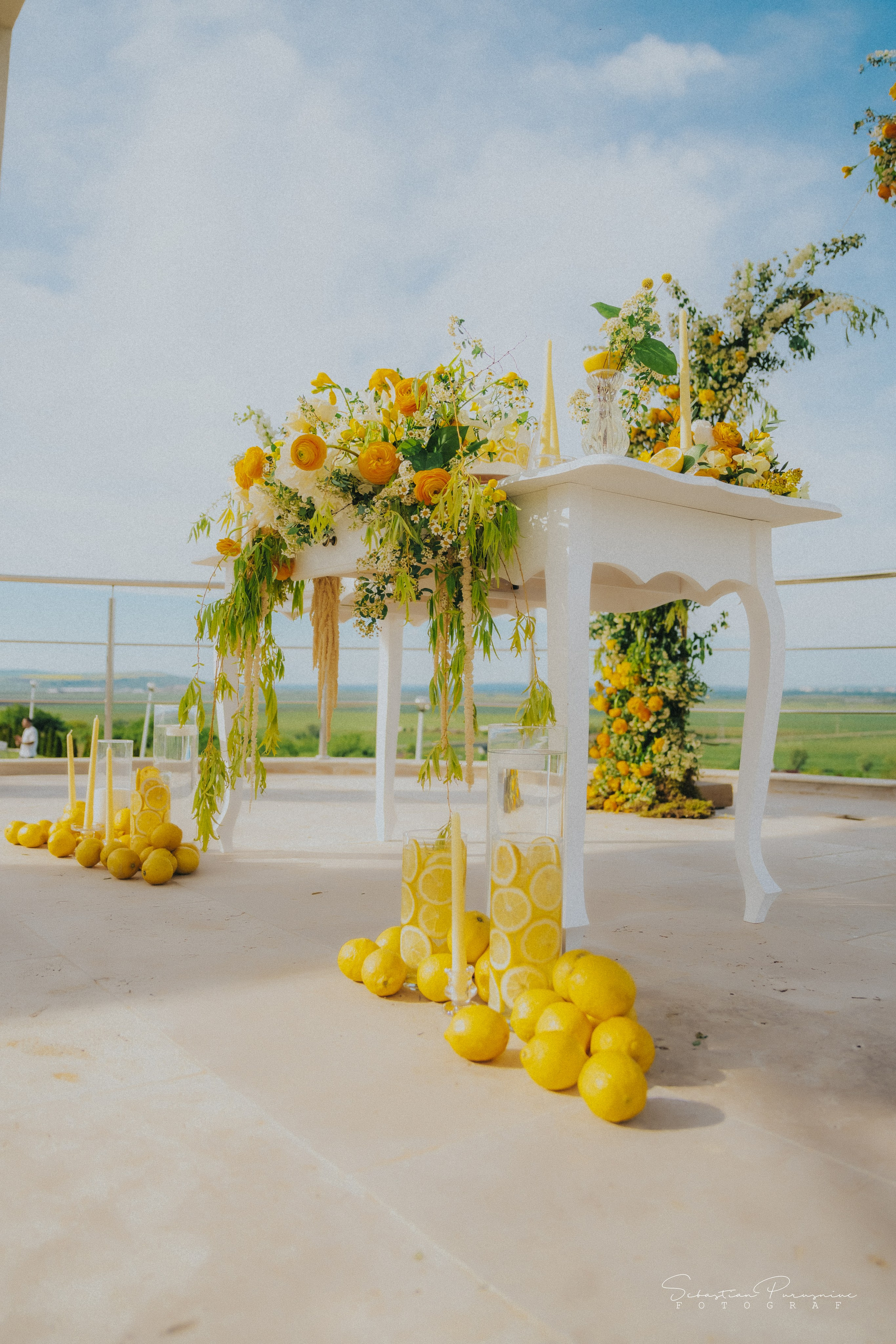 Love & Lemons. Sebastian Purusniuc Fotograf - Iasi
