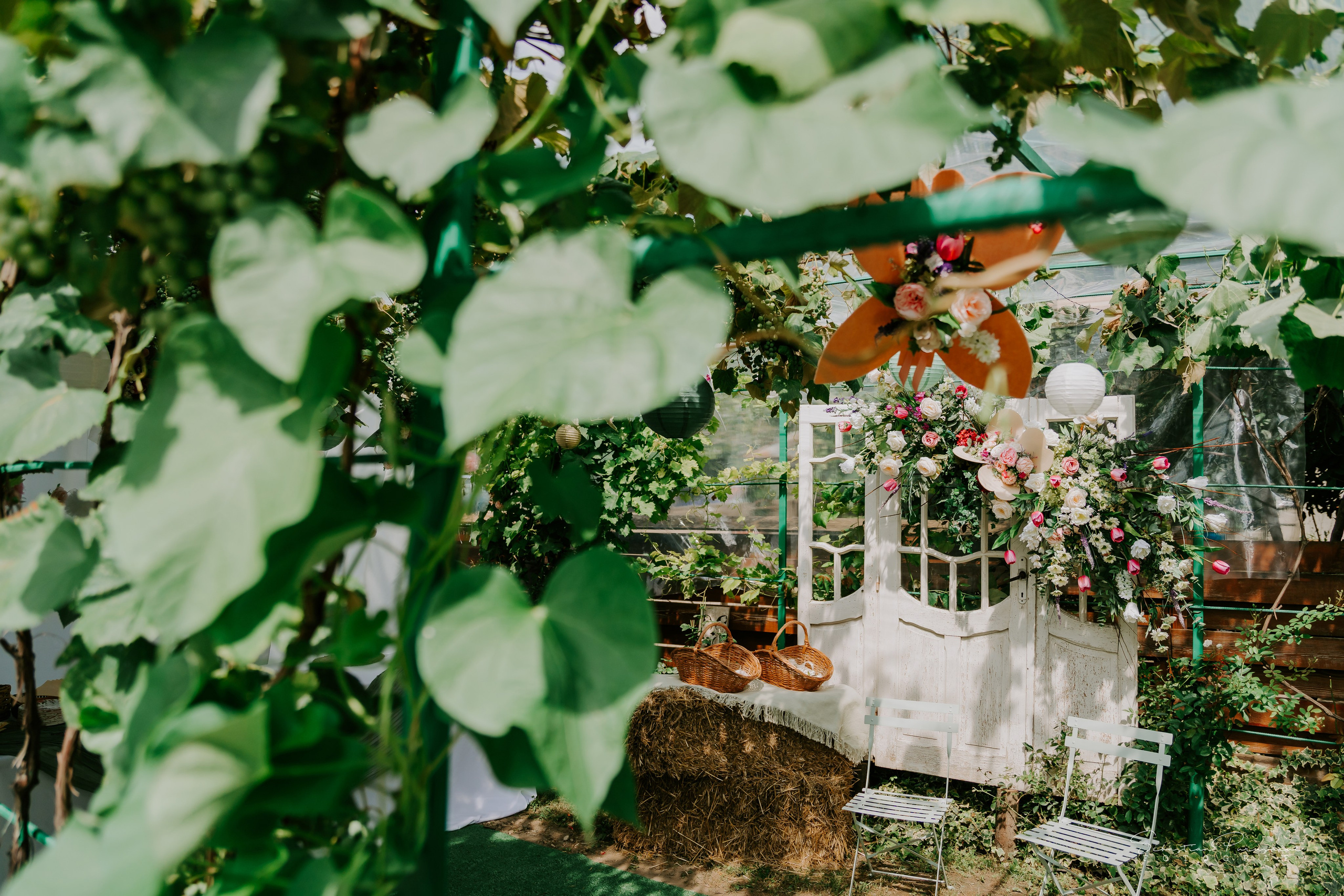 Andreea & Mădălin. Sebastian Purusniuc Fotograf - Iasi