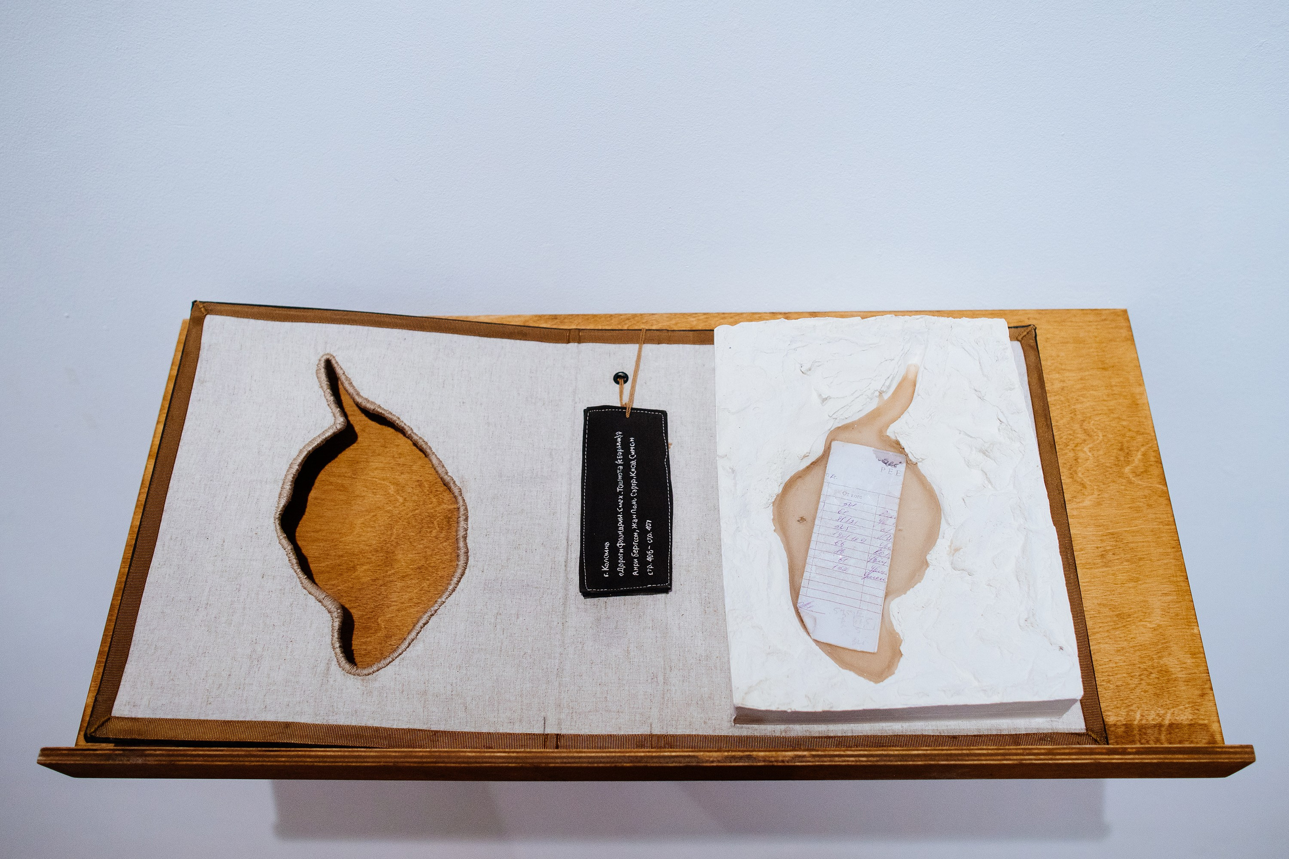 The Worlds i[i] / 2021 — IN-PROGRESS. Daria Goncharova / Conceptual artist