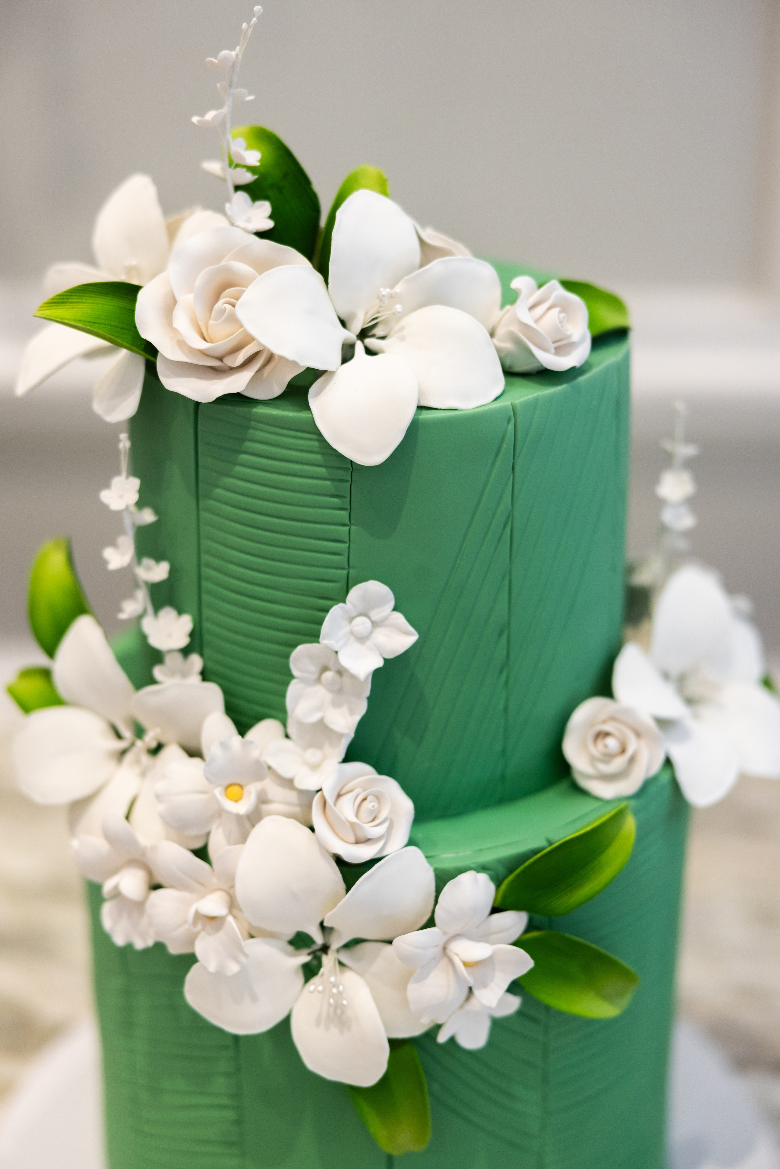 Mandana & Babak. Wedding Photo & Video