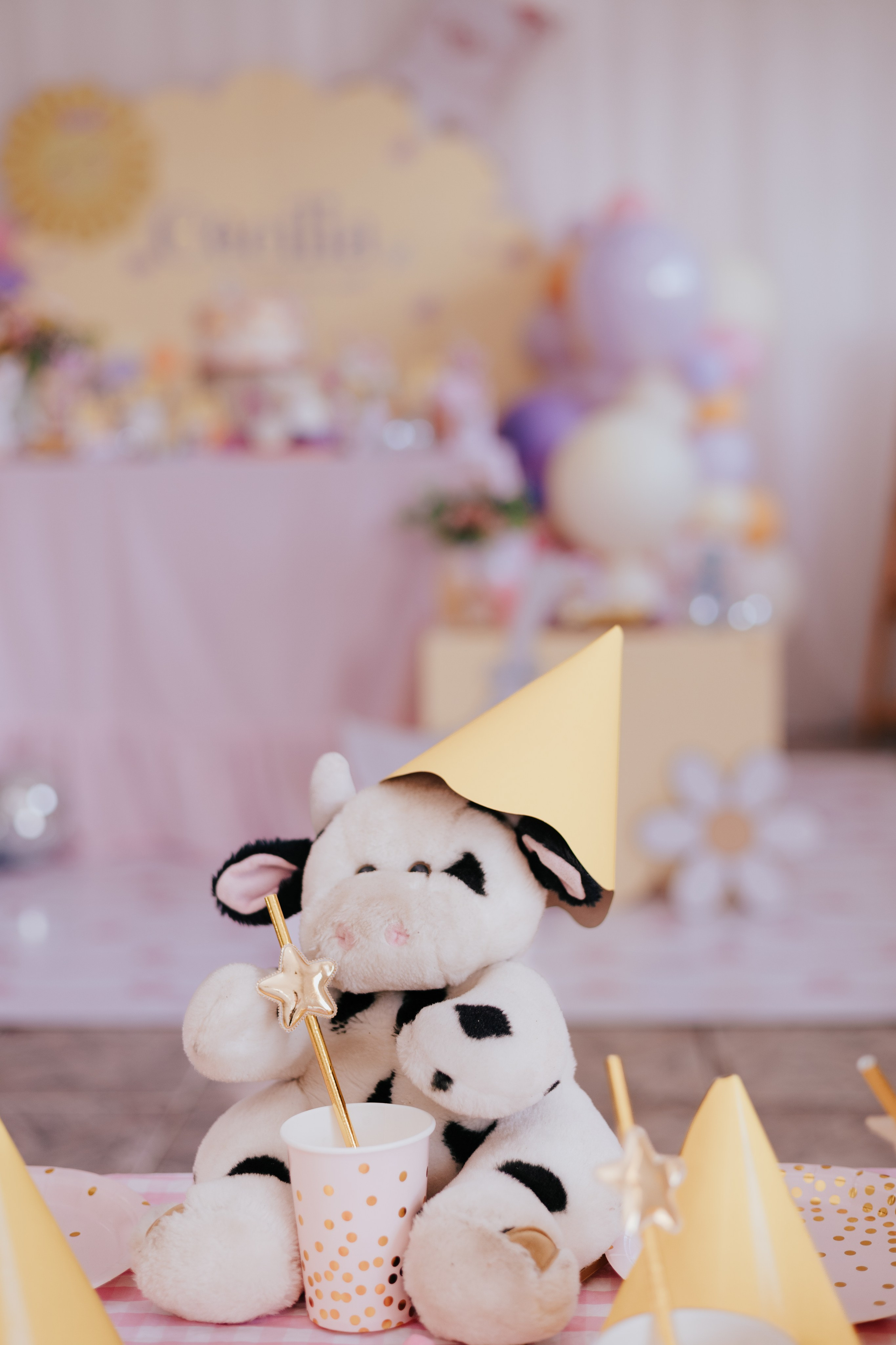 Cecília 2 anos. Fotografia de família e parto